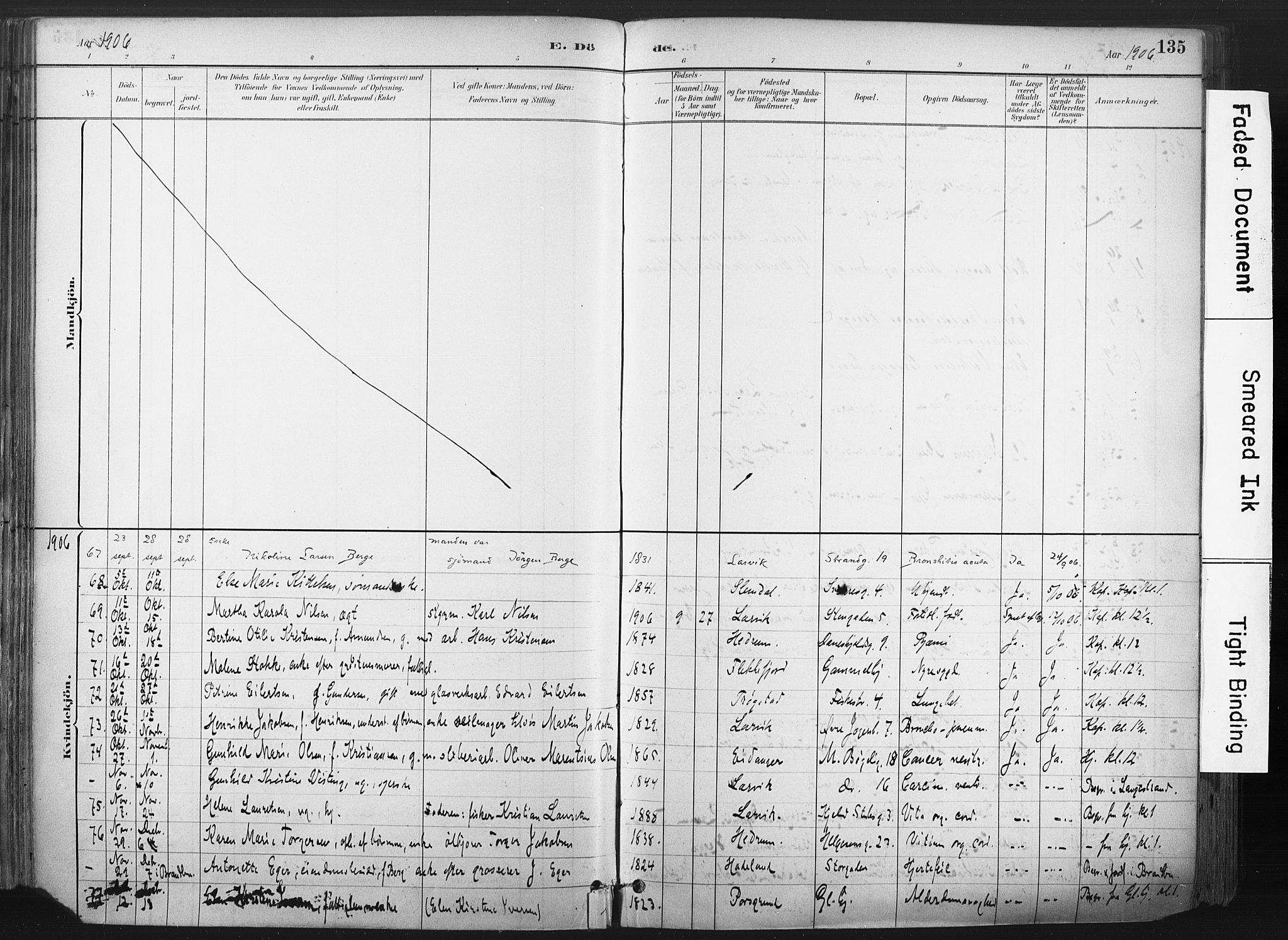 Larvik kirkebøker, AV/SAKO-A-352/F/Fa/L0010: Parish register (official) no. I 10, 1884-1910, p. 135