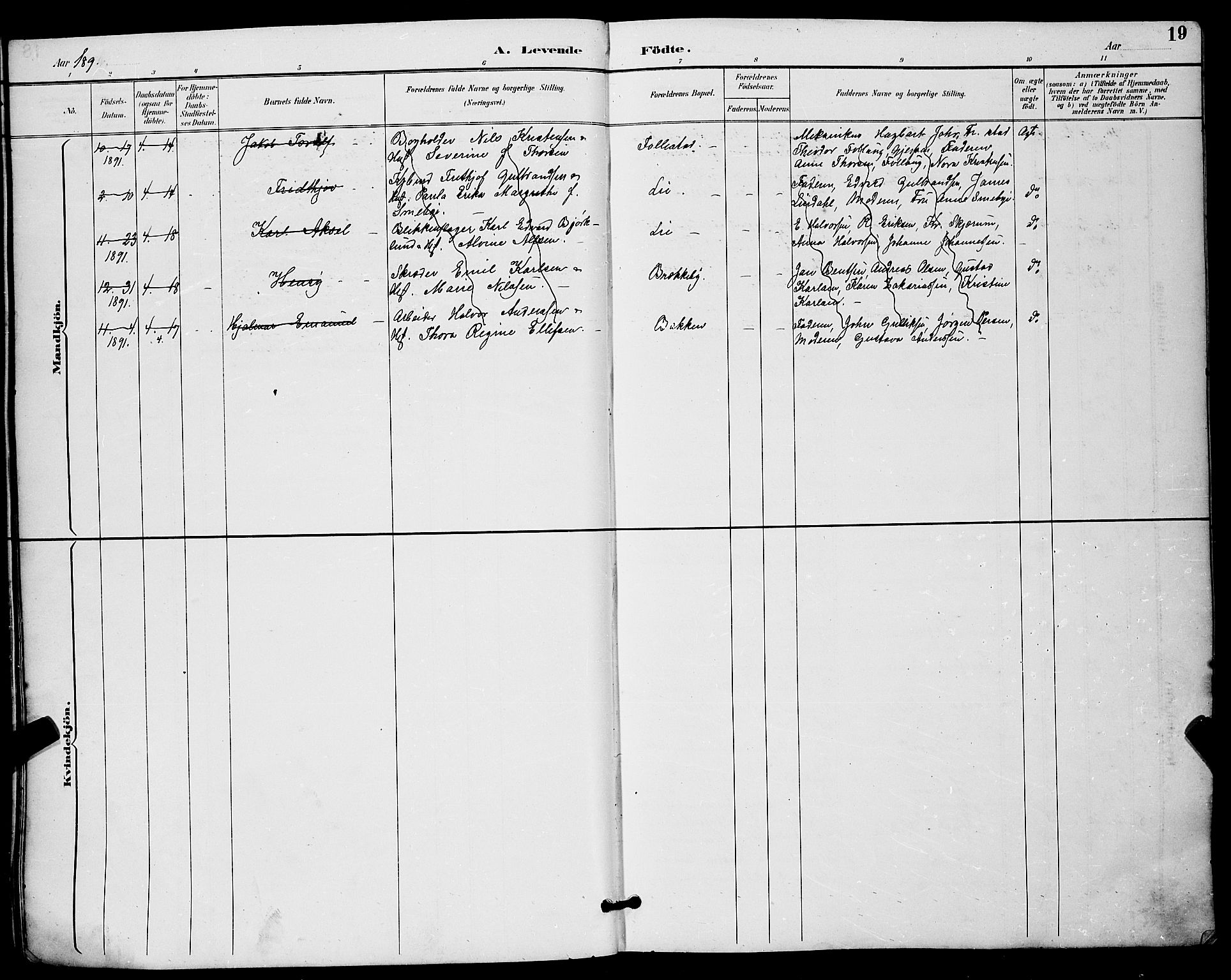 Skien kirkebøker, SAKO/A-302/G/Ga/L0007: Parish register (copy) no. 7, 1891-1900, p. 19