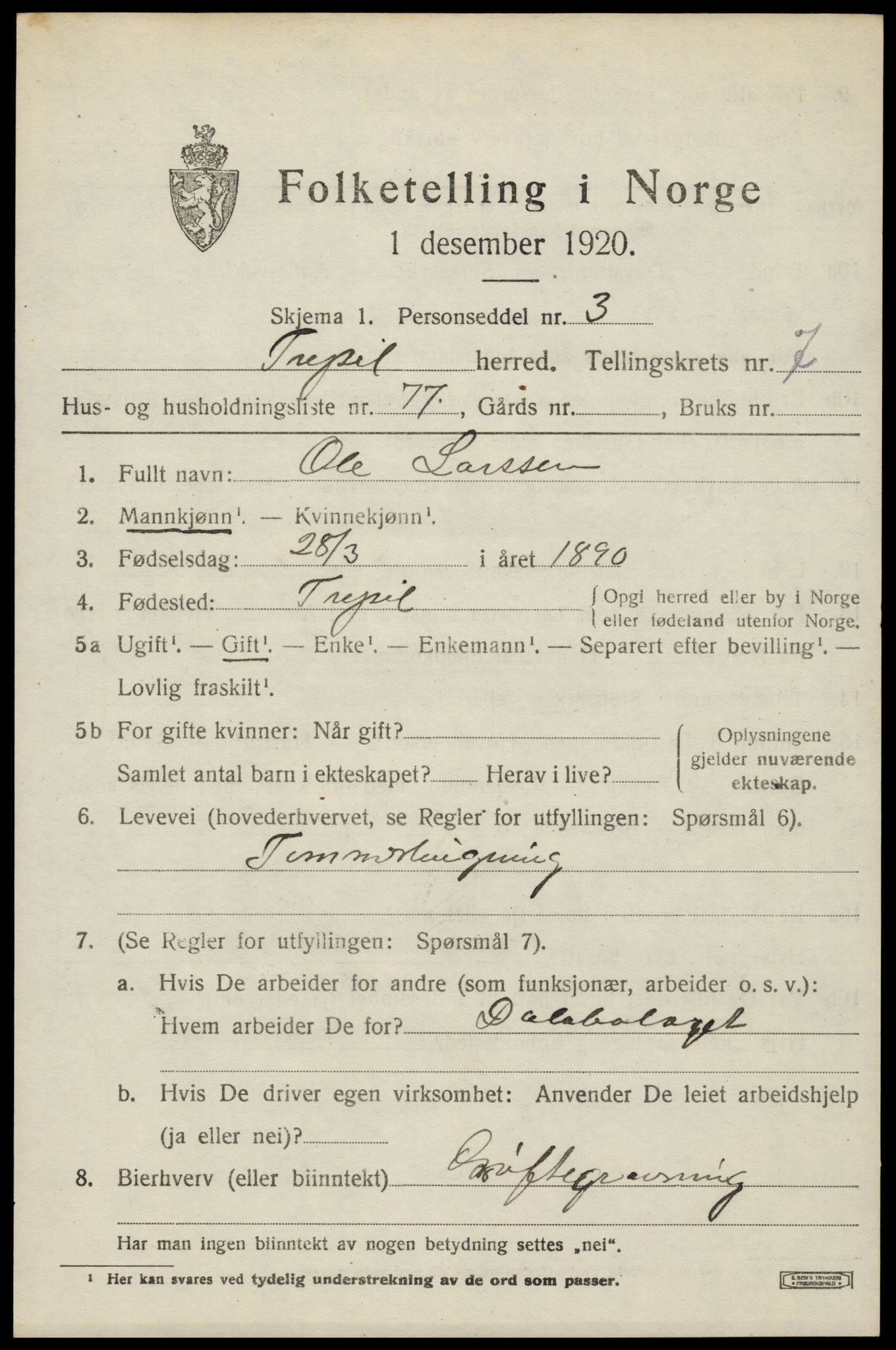 SAH, 1920 census for Trysil, 1920, p. 6197