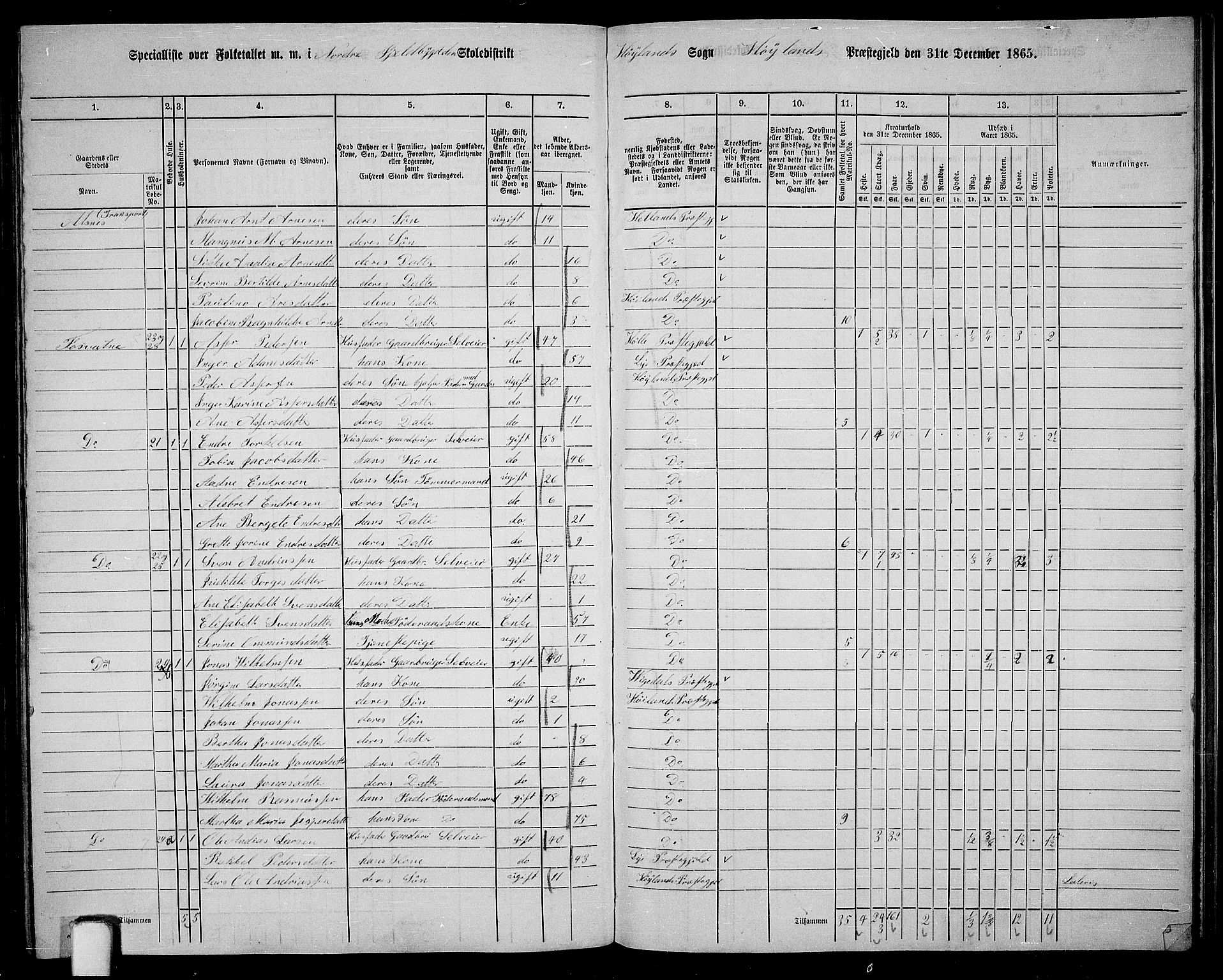 RA, 1865 census for Høyland, 1865, p. 119