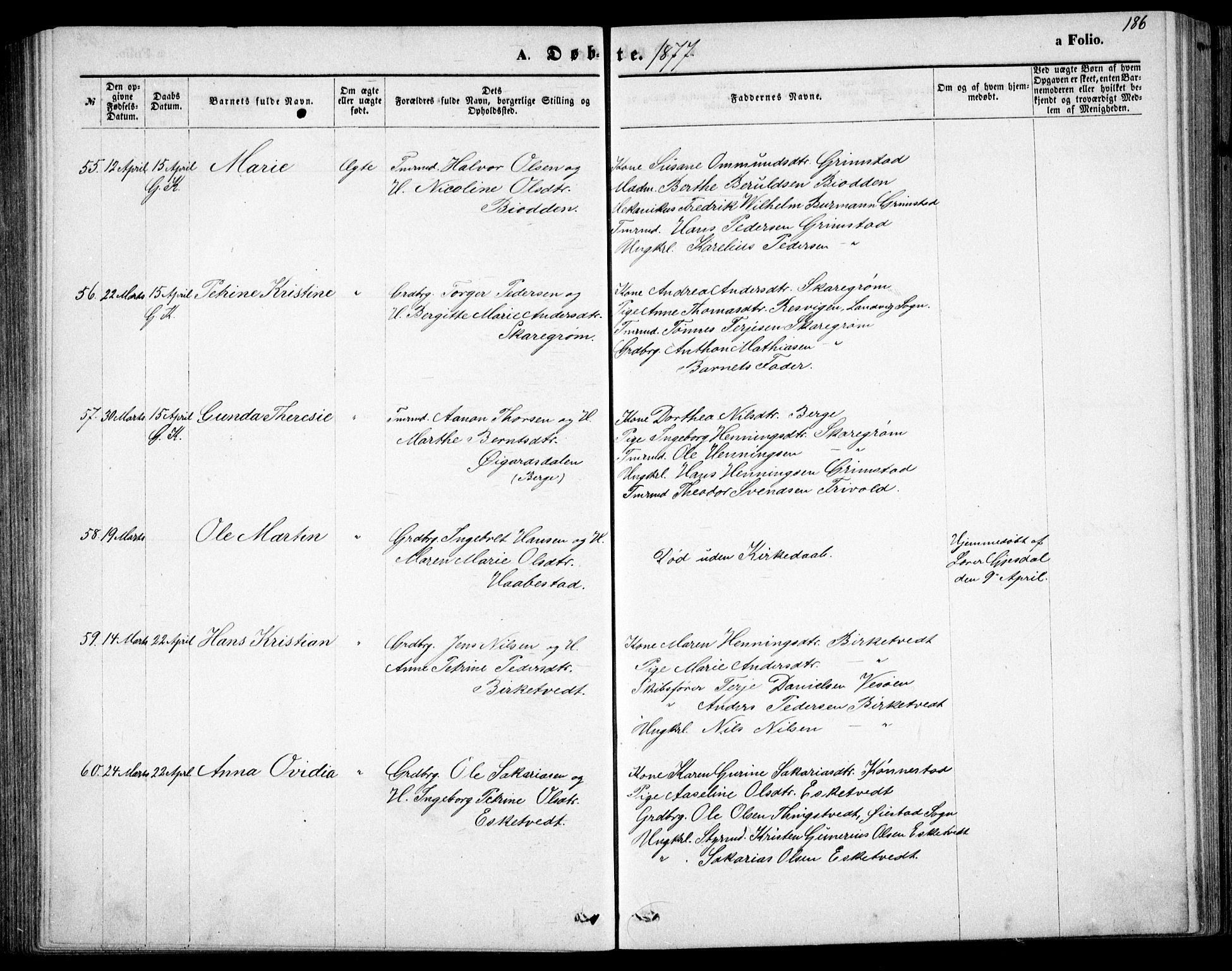 Fjære sokneprestkontor, AV/SAK-1111-0011/F/Fb/L0010: Parish register (copy) no. B 10, 1871-1880, p. 186