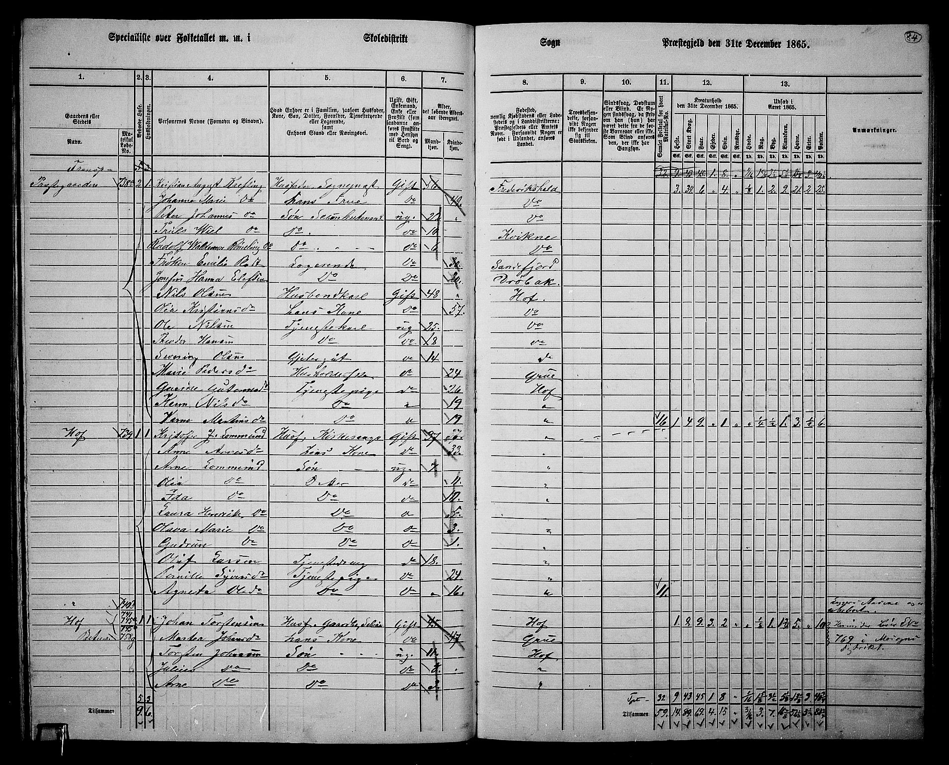 RA, 1865 census for Hof, 1865, p. 80
