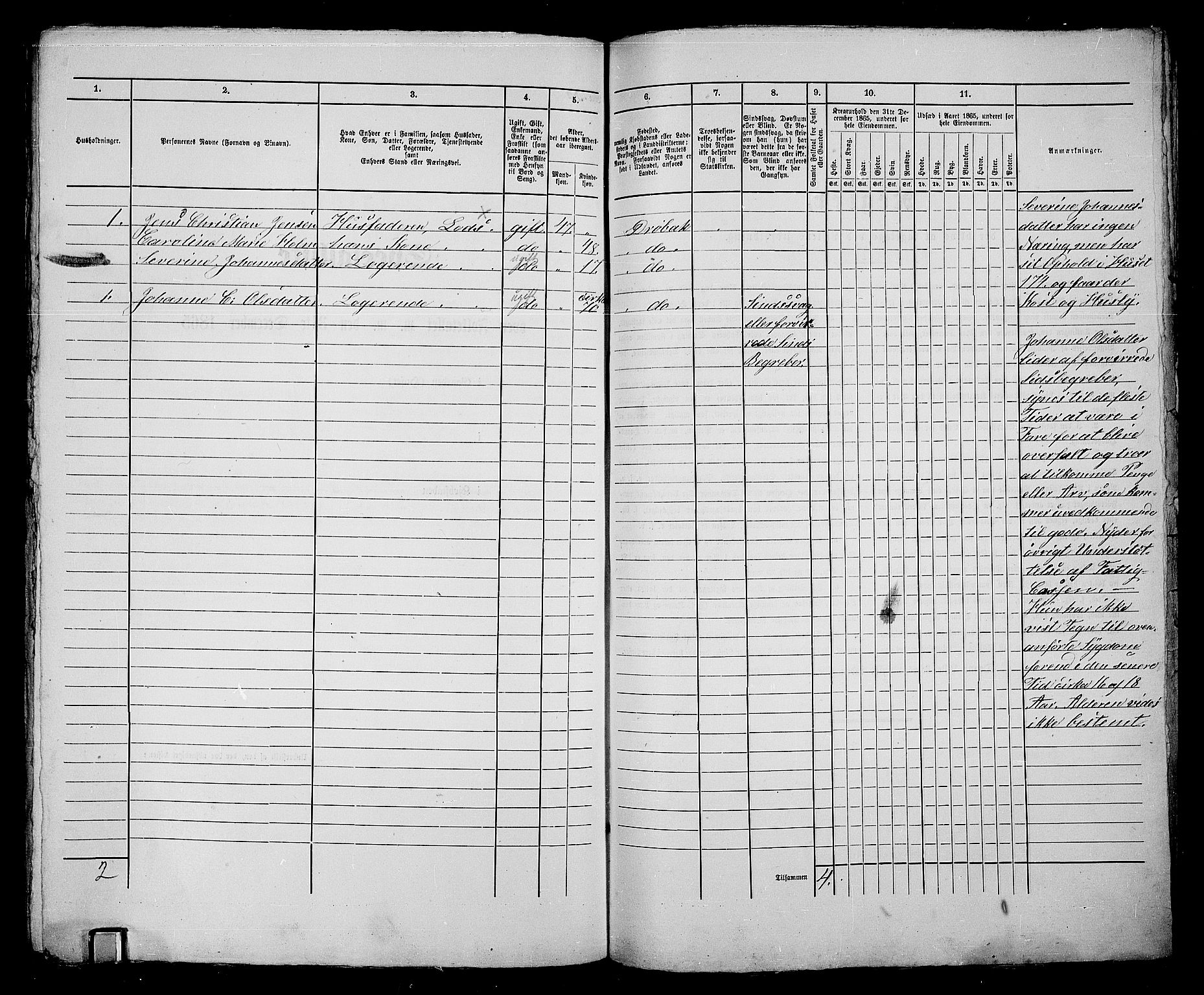 RA, 1865 census for Drøbak/Drøbak, 1865, p. 404