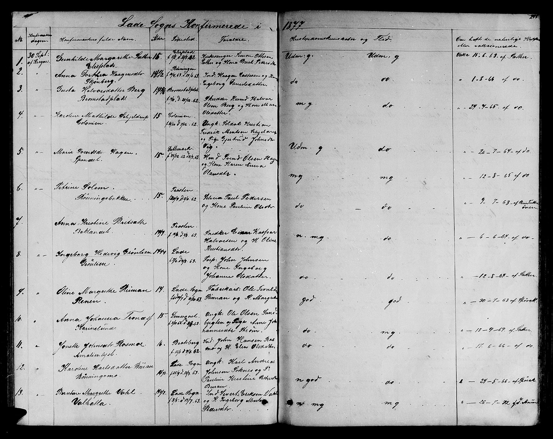 Ministerialprotokoller, klokkerbøker og fødselsregistre - Sør-Trøndelag, SAT/A-1456/606/L0311: Parish register (copy) no. 606C07, 1860-1877, p. 258