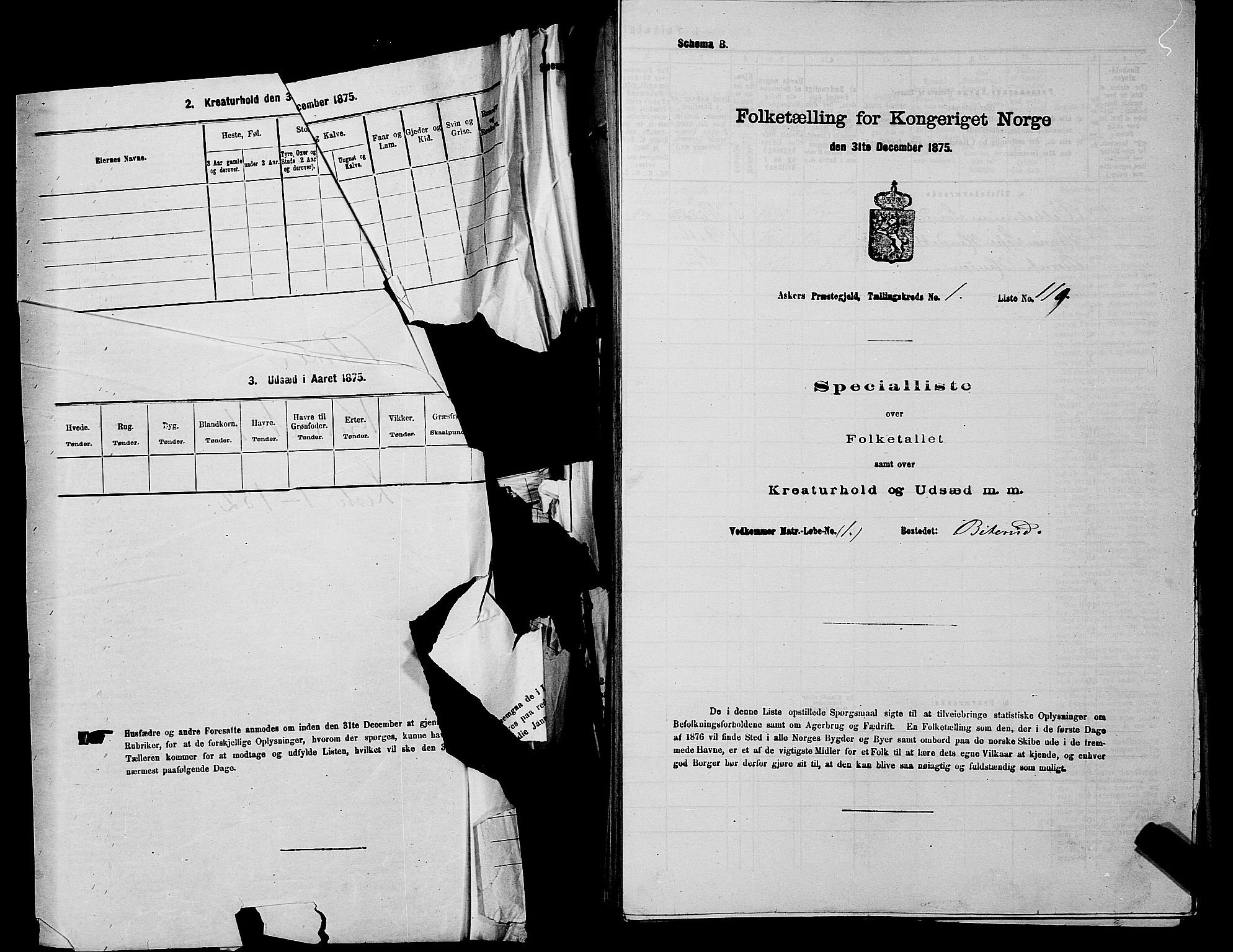 RA, 1875 census for 0220P Asker, 1875, p. 71