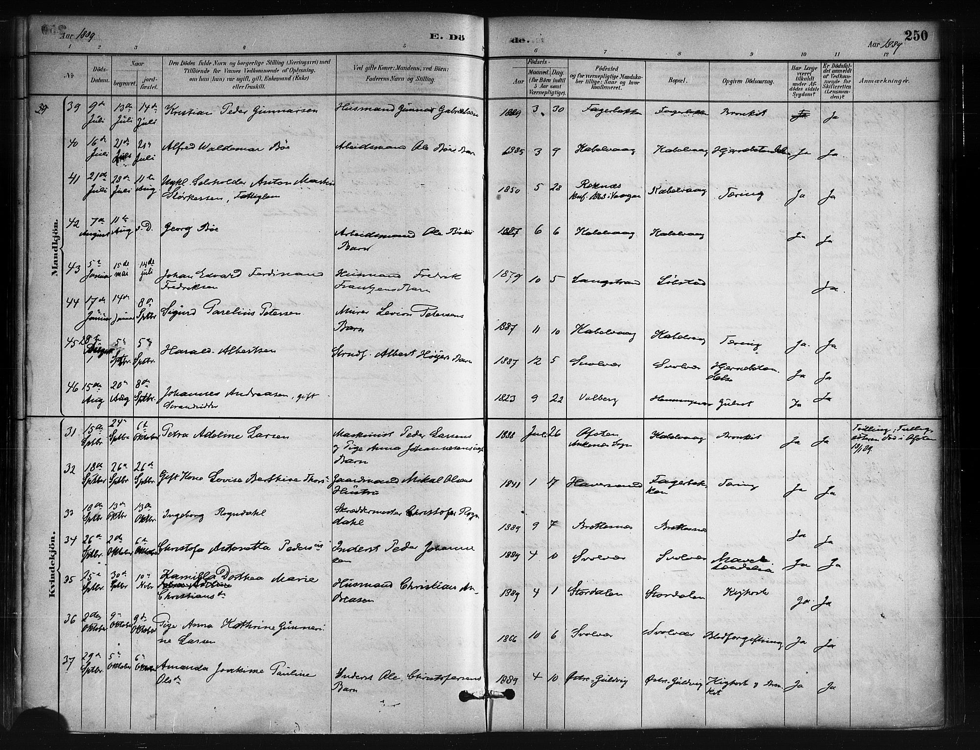 Ministerialprotokoller, klokkerbøker og fødselsregistre - Nordland, AV/SAT-A-1459/874/L1059: Parish register (official) no. 874A03, 1884-1890, p. 250