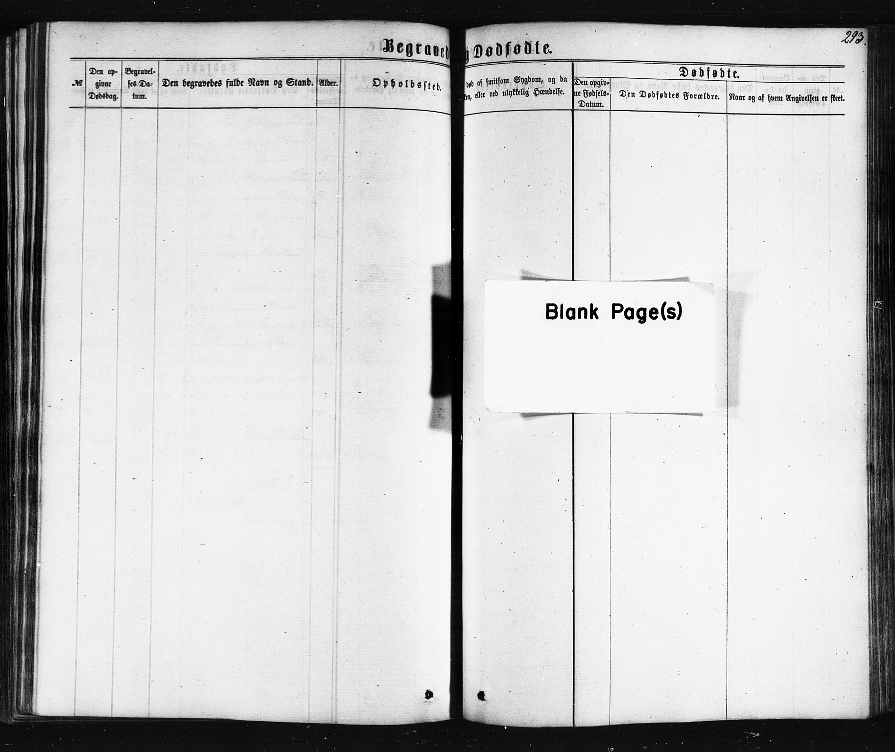 Ministerialprotokoller, klokkerbøker og fødselsregistre - Nordland, SAT/A-1459/861/L0867: Parish register (official) no. 861A02, 1864-1878, p. 293