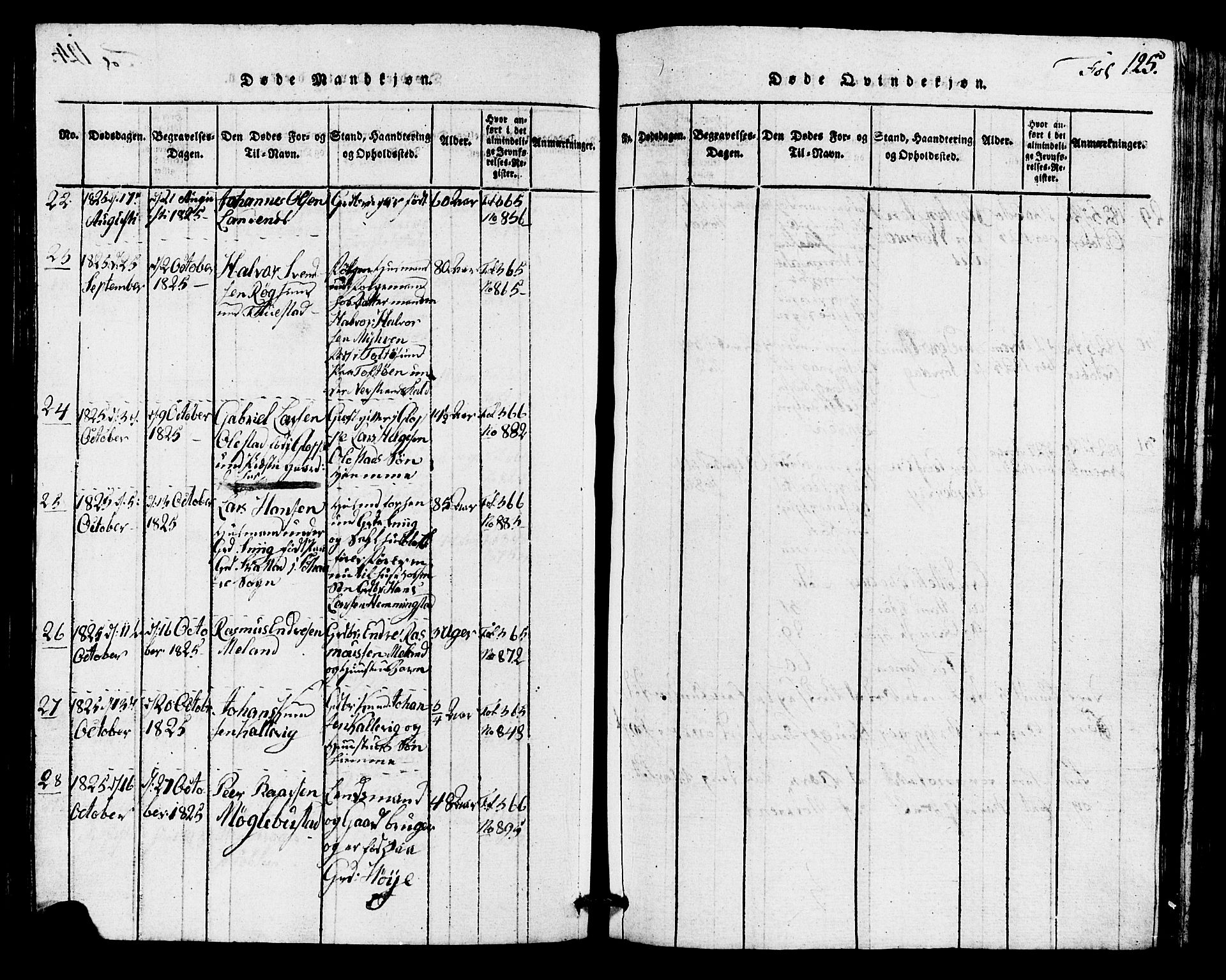 Avaldsnes sokneprestkontor, AV/SAST-A -101851/H/Ha/Hab/L0001: Parish register (copy) no. B 1, 1816-1825, p. 125