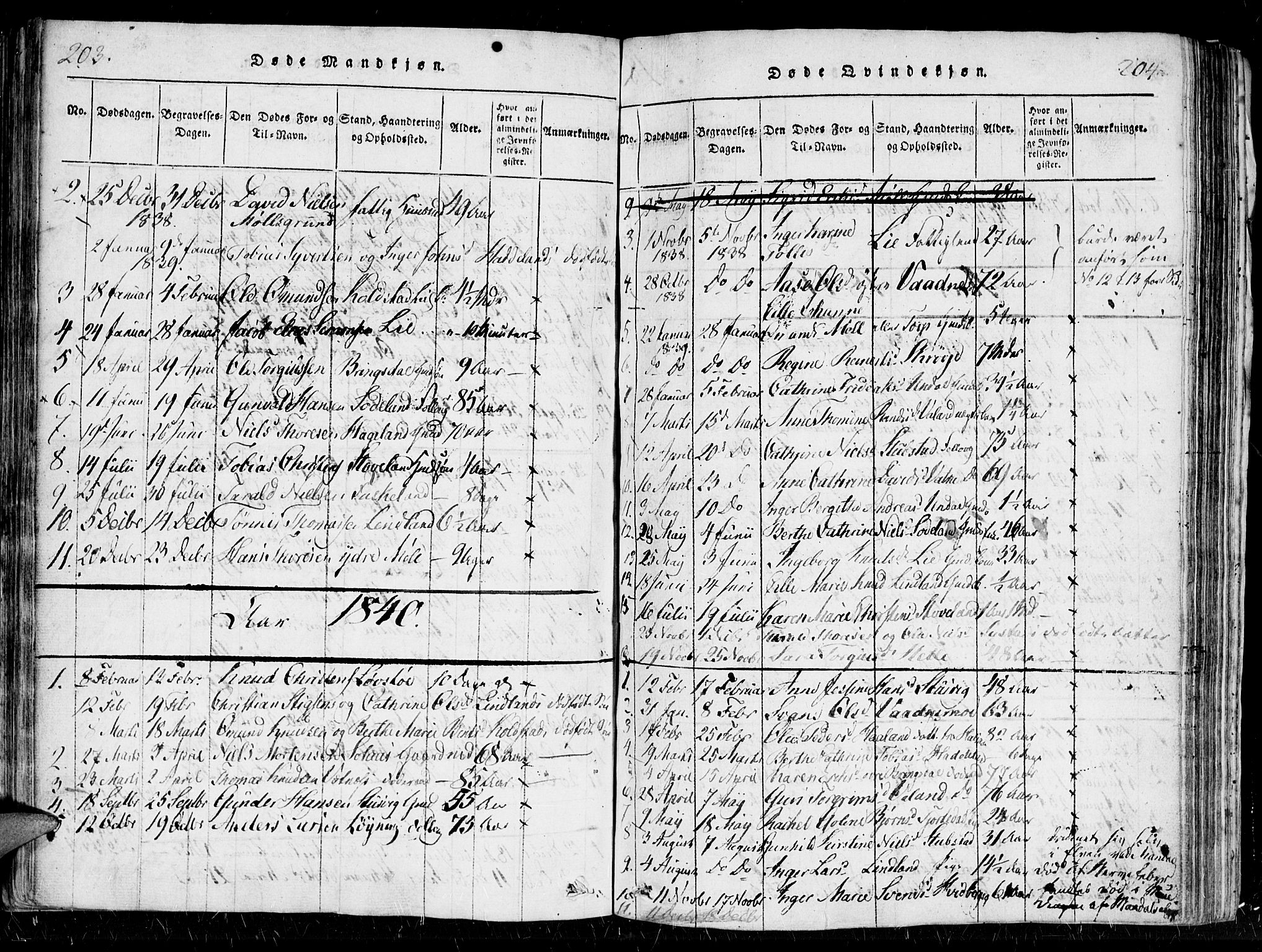 Holum sokneprestkontor, SAK/1111-0022/F/Fa/Faa/L0004: Parish register (official) no. A 4, 1820-1849, p. 203-204