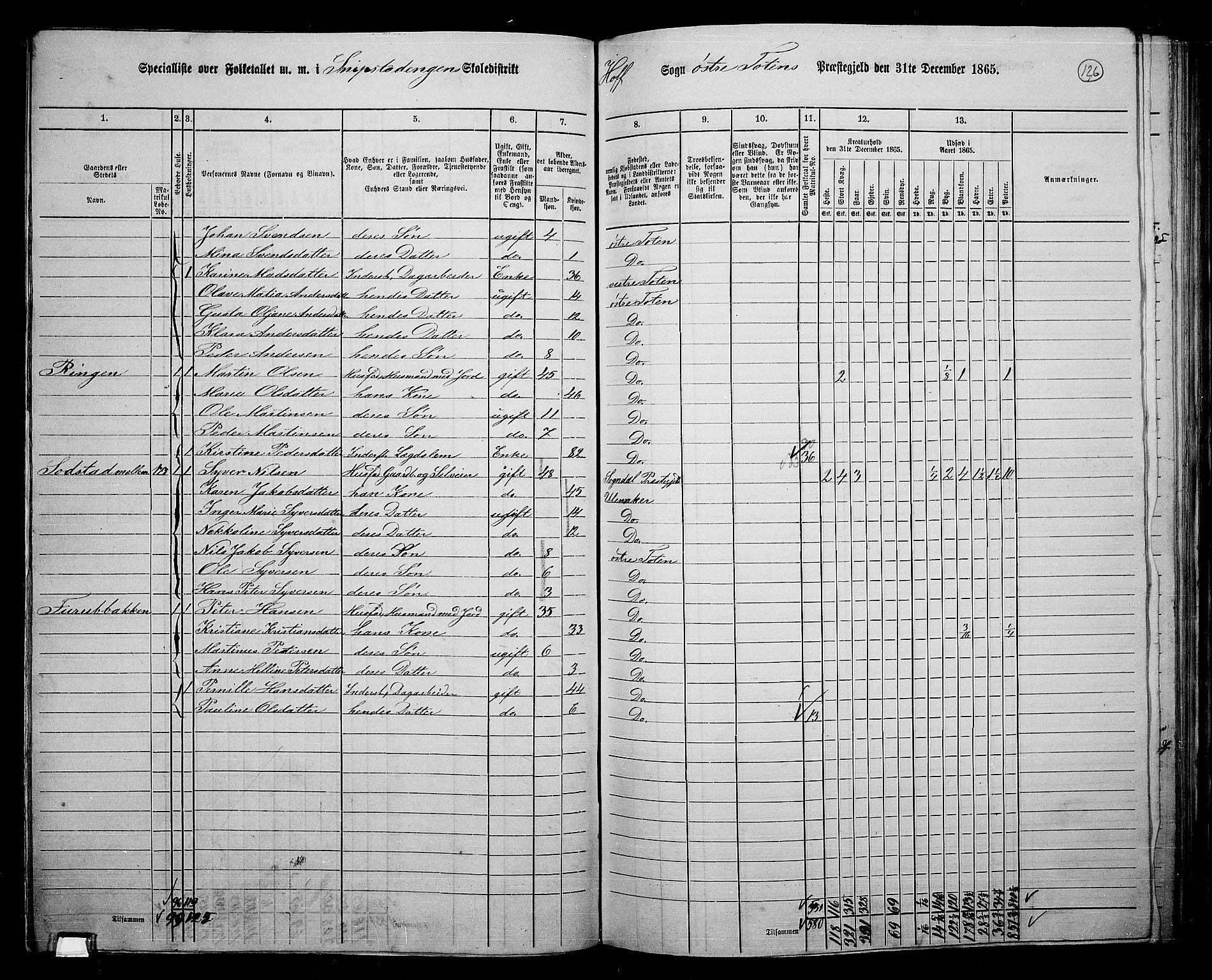 RA, 1865 census for Østre Toten, 1865, p. 246