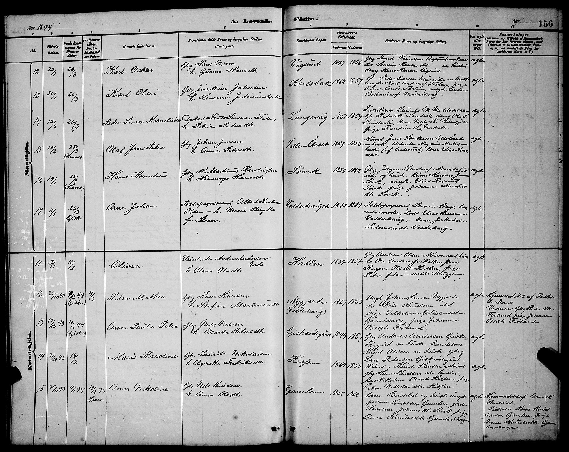 Ministerialprotokoller, klokkerbøker og fødselsregistre - Møre og Romsdal, AV/SAT-A-1454/528/L0431: Parish register (copy) no. 528C12, 1885-1898, p. 156