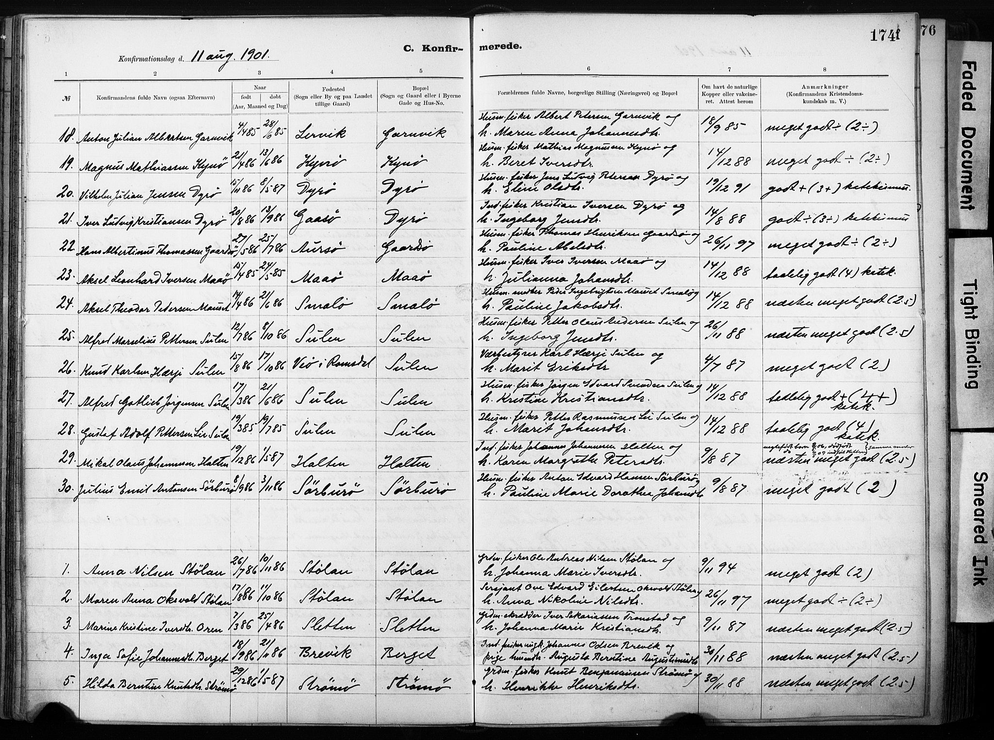 Ministerialprotokoller, klokkerbøker og fødselsregistre - Sør-Trøndelag, AV/SAT-A-1456/640/L0579: Parish register (official) no. 640A04, 1889-1902, p. 174f