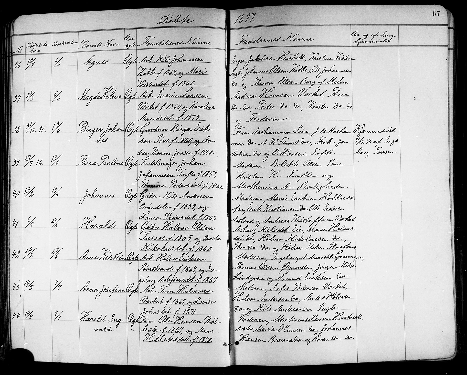 Holla kirkebøker, SAKO/A-272/G/Ga/L0005: Parish register (copy) no. I 5, 1891-1917, p. 67