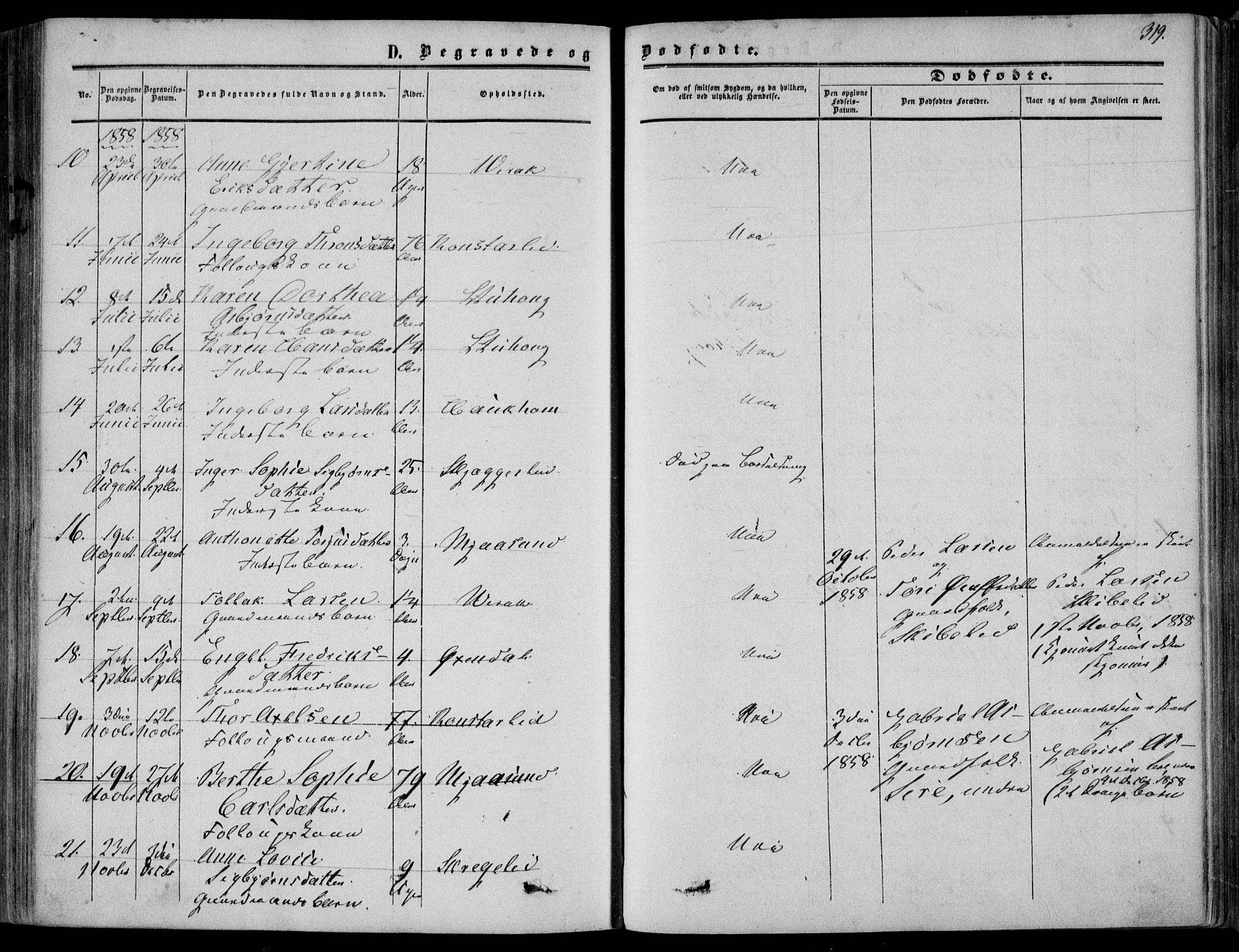 Bakke sokneprestkontor, AV/SAK-1111-0002/F/Fa/Faa/L0006: Parish register (official) no. A 6, 1855-1877, p. 319