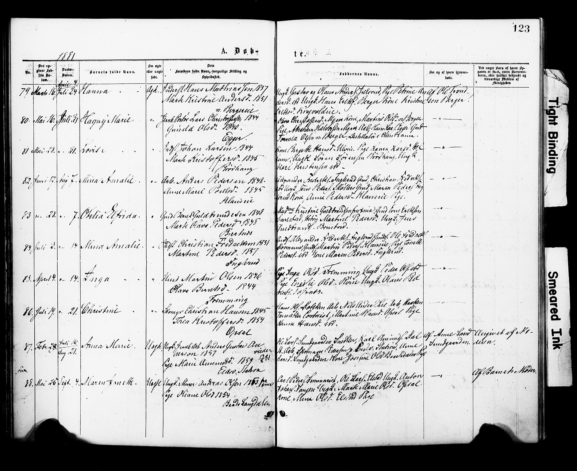 Eidsvoll prestekontor Kirkebøker, AV/SAO-A-10888/F/Fa/L0001: Parish register (official) no. I 1, 1877-1881, p. 123