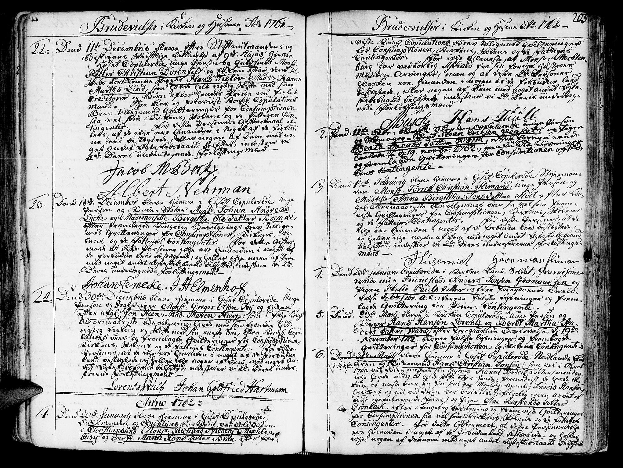Ministerialprotokoller, klokkerbøker og fødselsregistre - Sør-Trøndelag, SAT/A-1456/602/L0103: Parish register (official) no. 602A01, 1732-1774, p. 205
