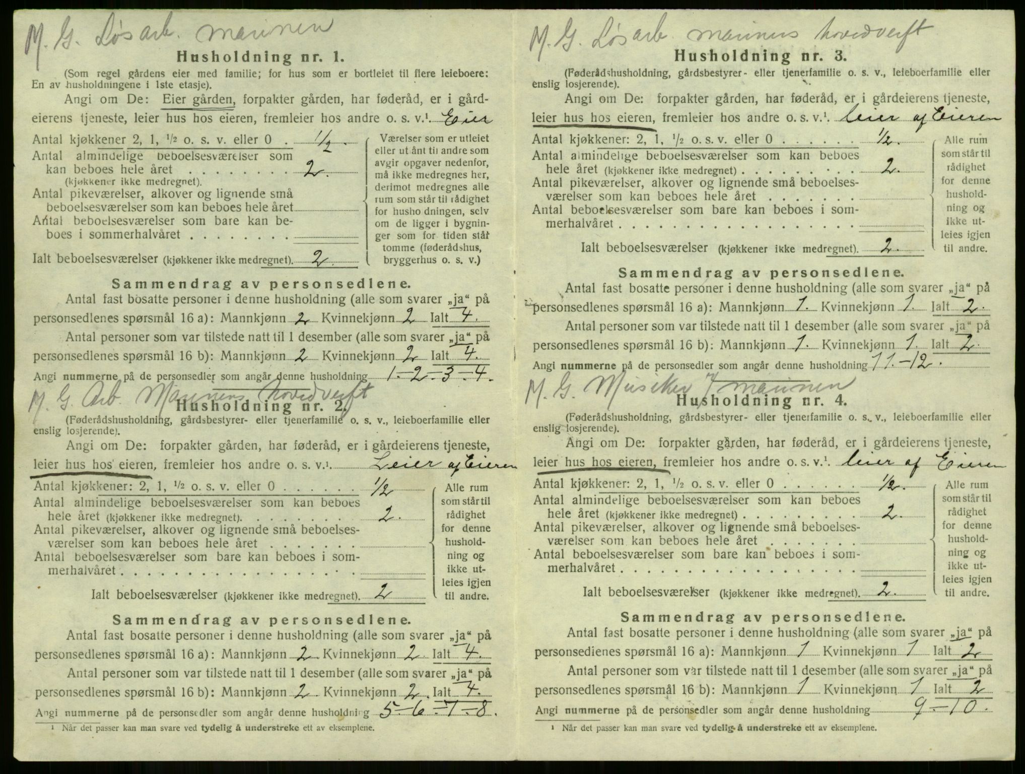 SAKO, 1920 census for Borre, 1920, p. 39