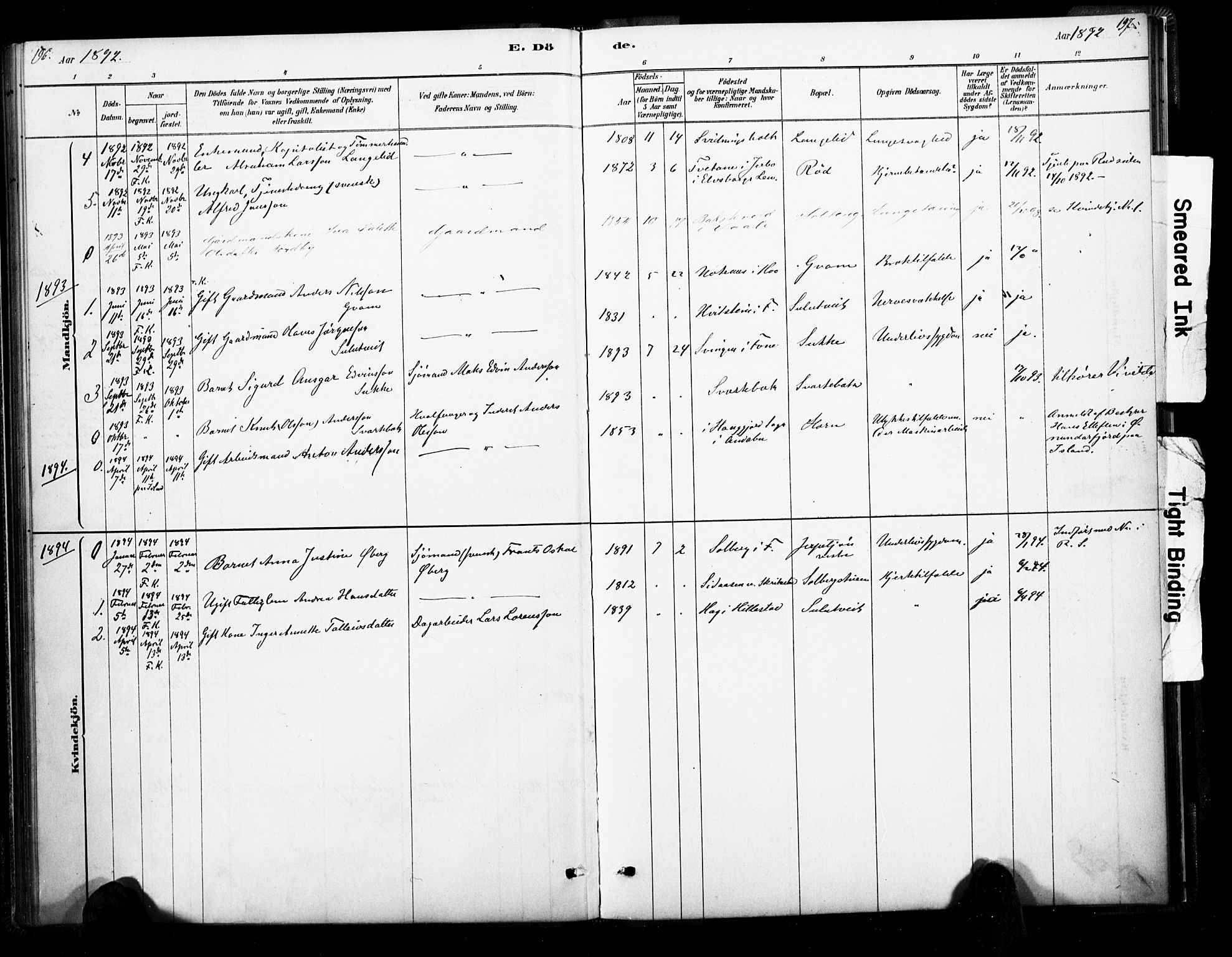 Ramnes kirkebøker, SAKO/A-314/F/Fb/L0001: Parish register (official) no. II 1, 1878-1894, p. 196-197