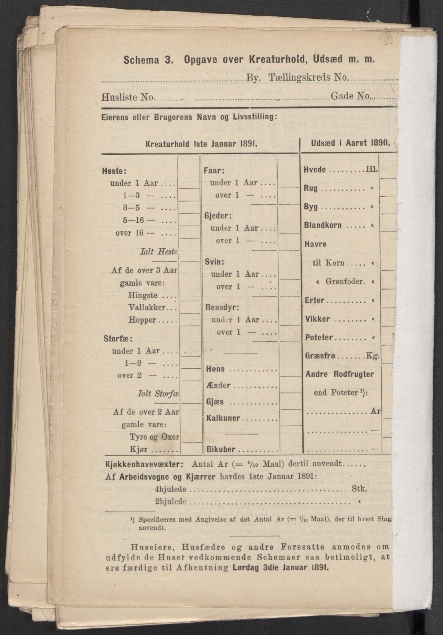 RA, 1891 Census for 1301 Bergen, 1891, p. 2305