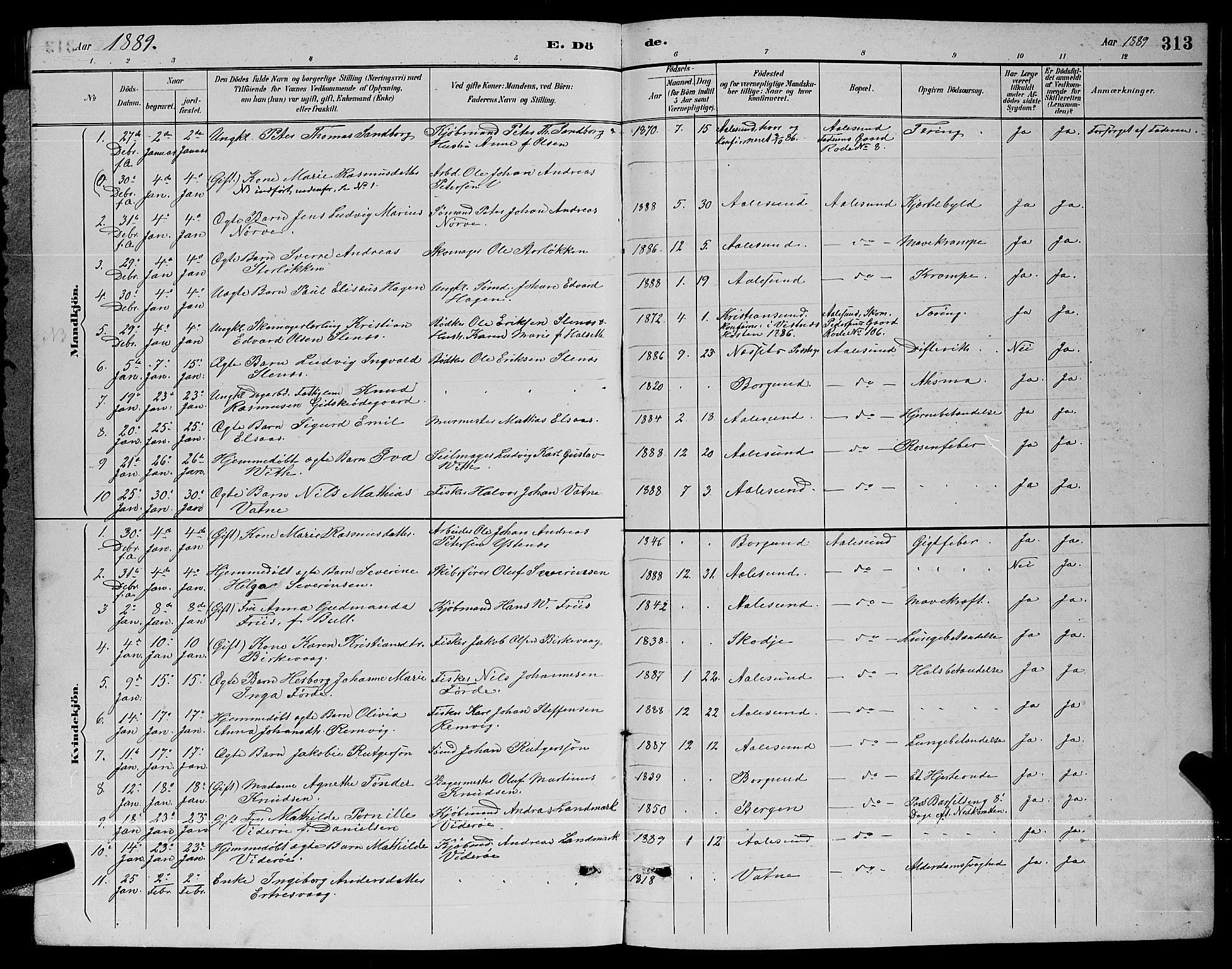 Ministerialprotokoller, klokkerbøker og fødselsregistre - Møre og Romsdal, AV/SAT-A-1454/529/L0467: Parish register (copy) no. 529C04, 1889-1897, p. 313