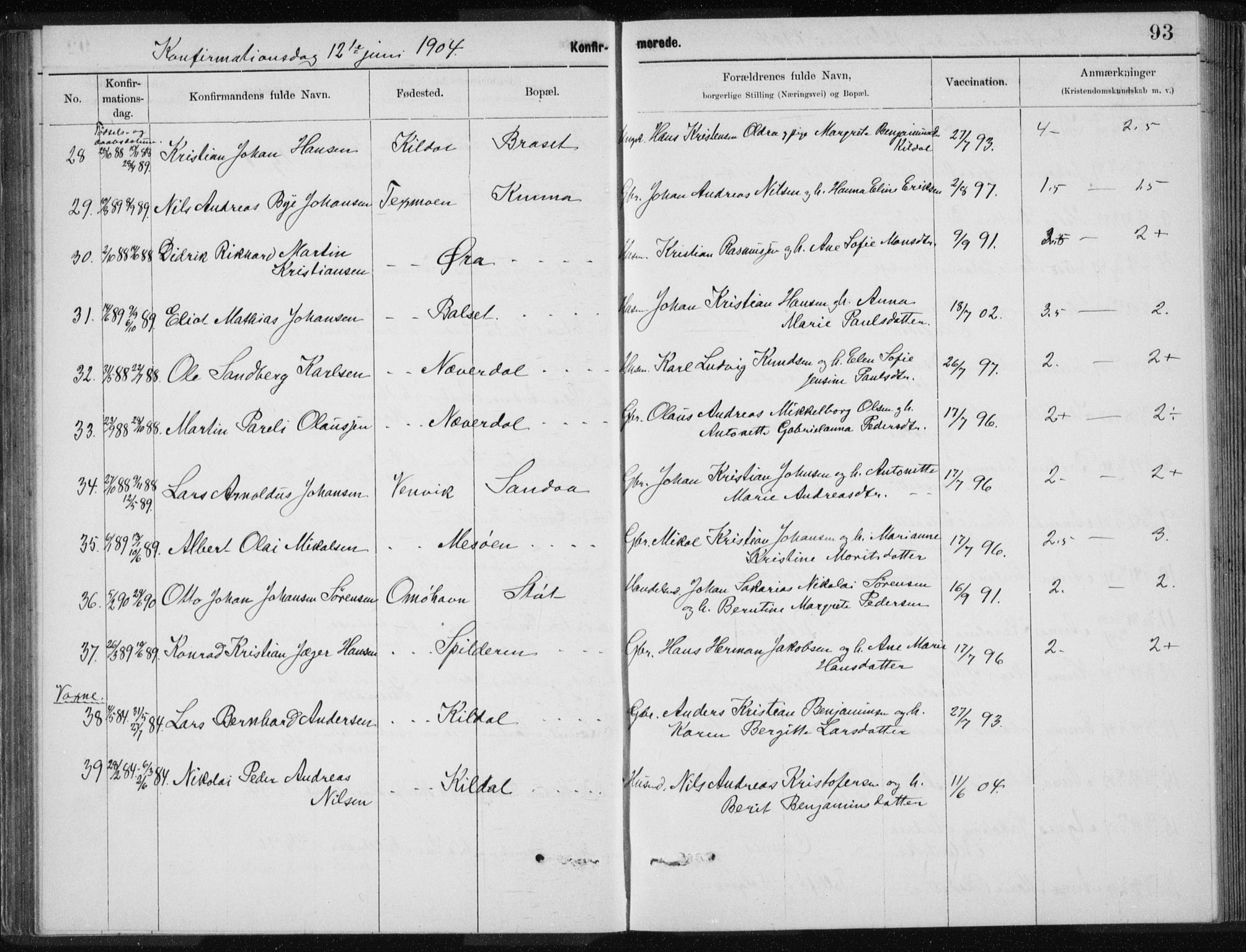 Ministerialprotokoller, klokkerbøker og fødselsregistre - Nordland, SAT/A-1459/843/L0637: Parish register (copy) no. 843C06, 1884-1908, p. 93