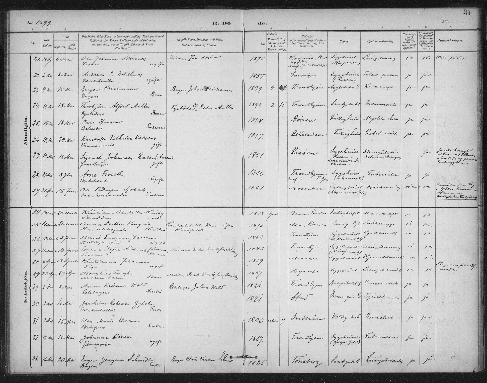 Ministerialprotokoller, klokkerbøker og fødselsregistre - Sør-Trøndelag, AV/SAT-A-1456/602/L0123: Parish register (official) no. 602A21, 1895-1910, p. 31