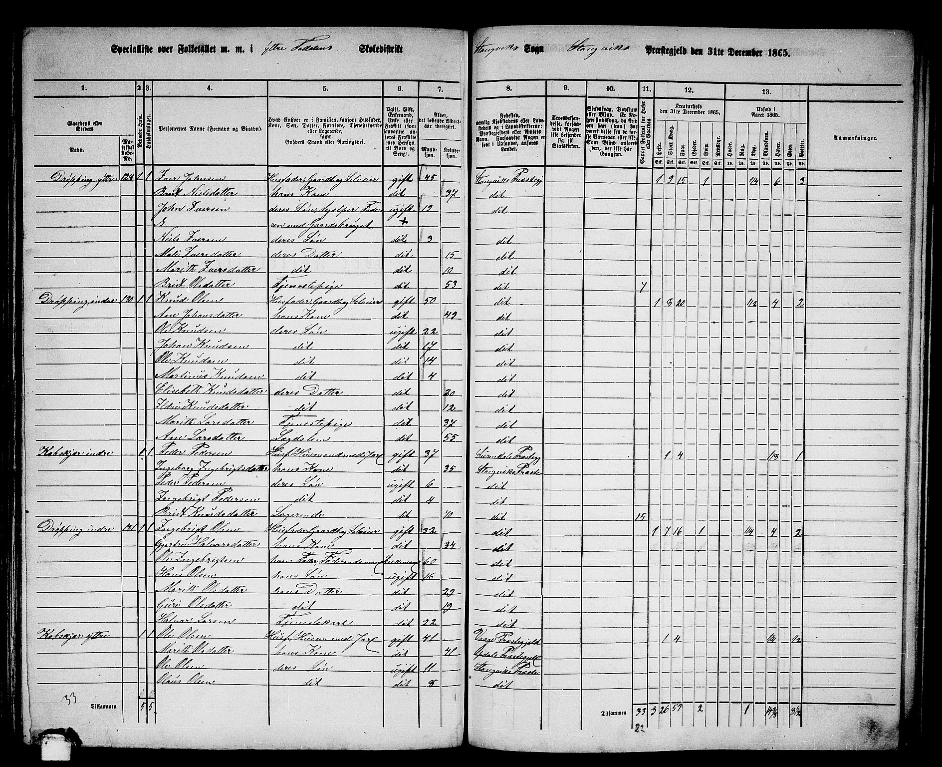 RA, 1865 census for Stangvik, 1865, p. 96