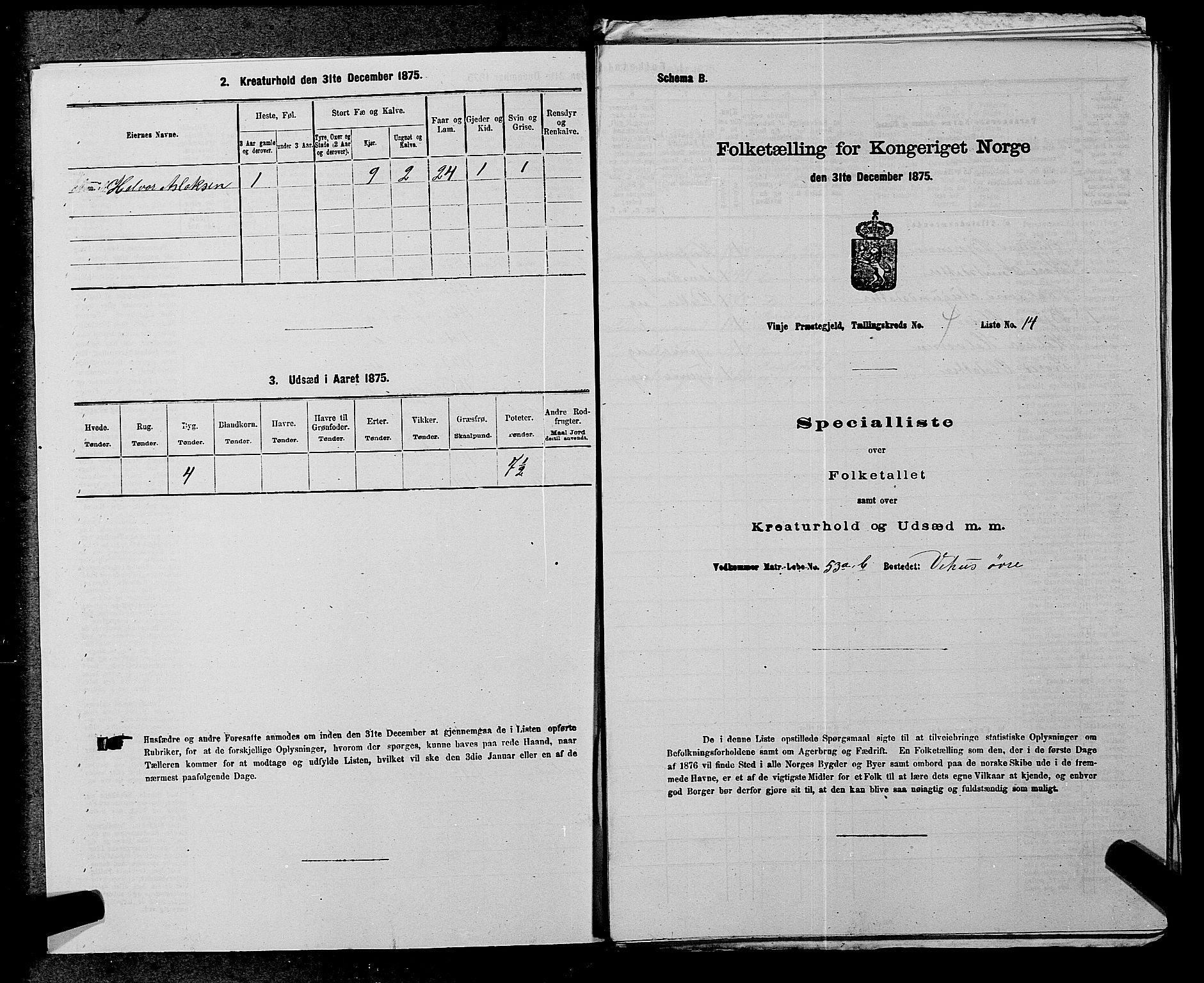 SAKO, 1875 census for 0834P Vinje, 1875, p. 305