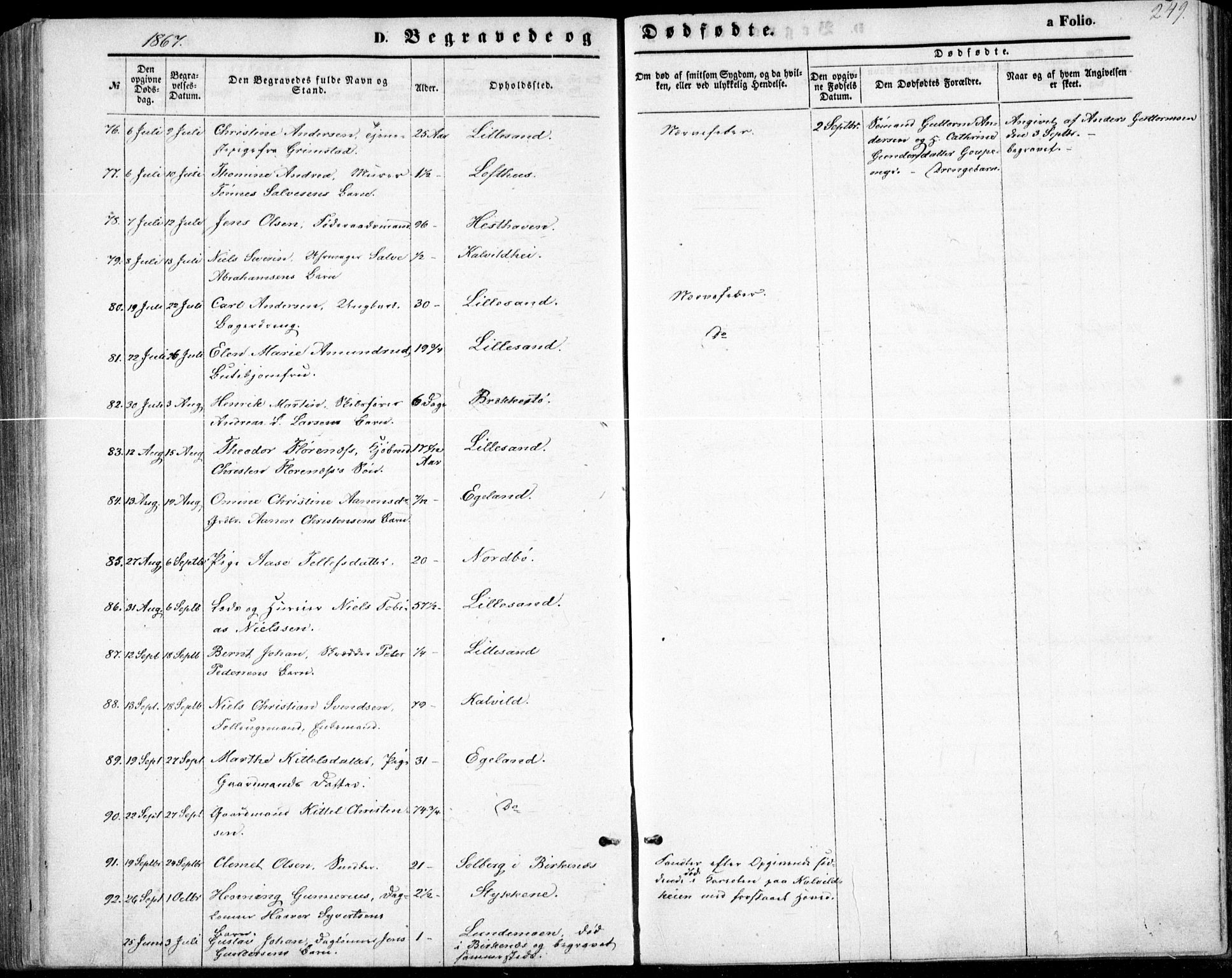 Vestre Moland sokneprestkontor, AV/SAK-1111-0046/F/Fb/Fbb/L0004: Parish register (copy) no. B 4, 1861-1872, p. 249