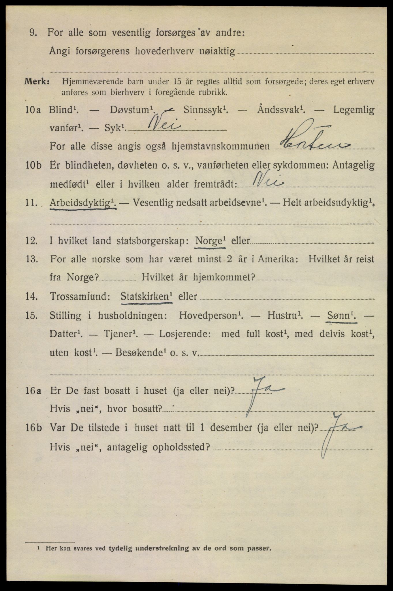 SAKO, 1920 census for Horten, 1920, p. 19304