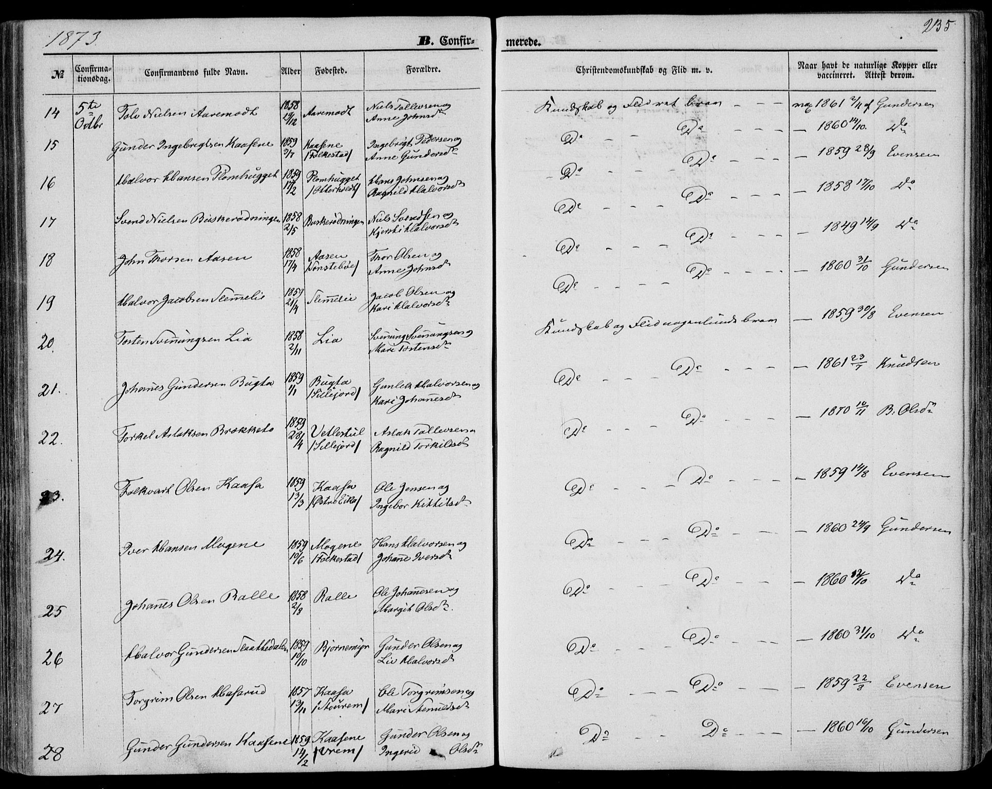 Bø kirkebøker, SAKO/A-257/F/Fa/L0009: Parish register (official) no. 9, 1862-1879, p. 235