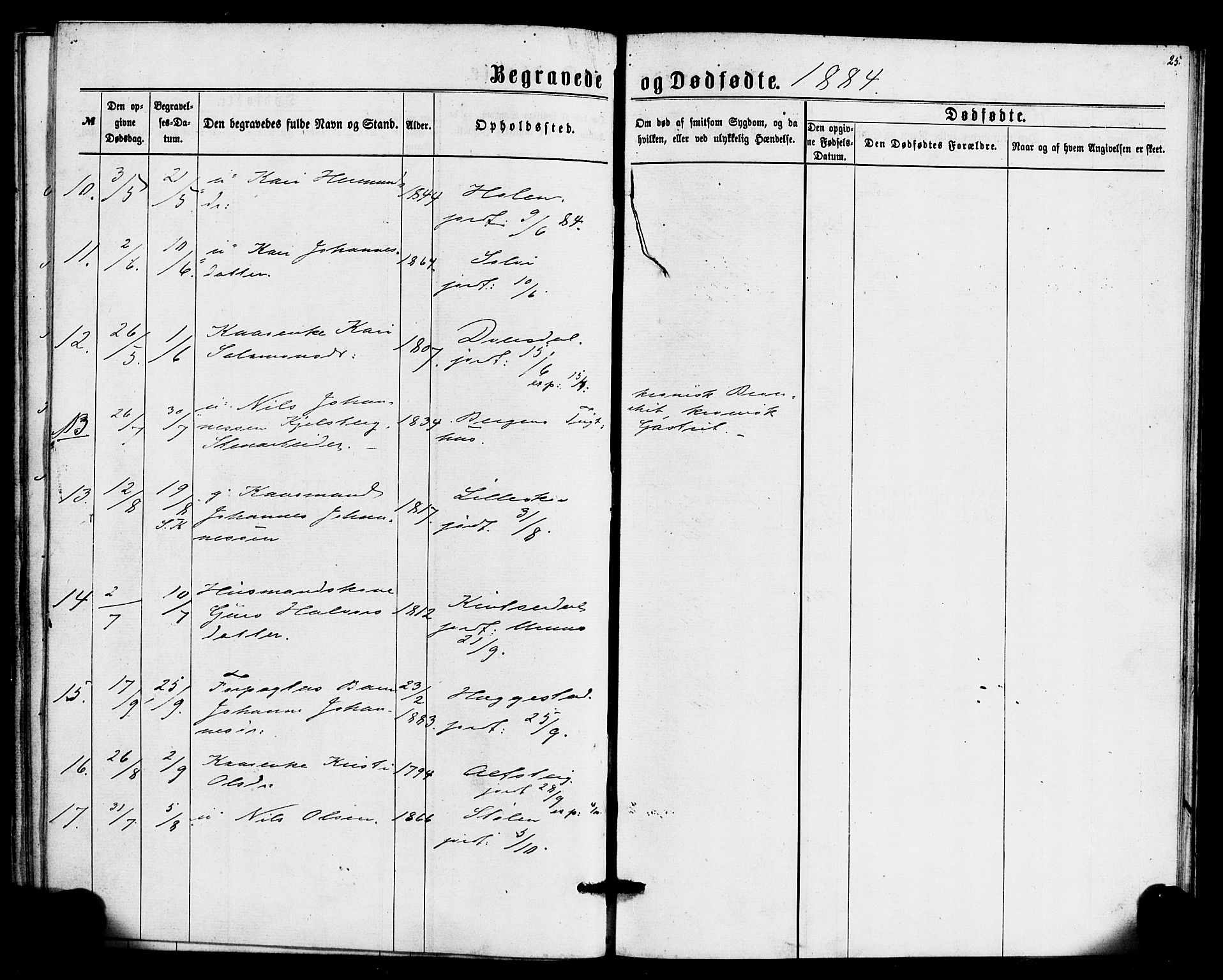 Hafslo sokneprestembete, SAB/A-80301/H/Haa/Haaa/L0014: Parish register (official) no. A 14, 1877-1886, p. 25