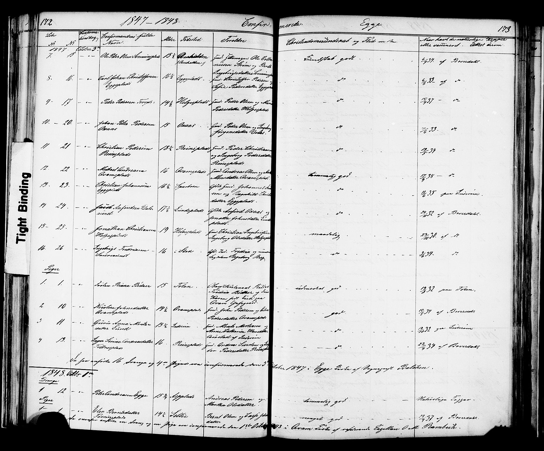 Ministerialprotokoller, klokkerbøker og fødselsregistre - Nord-Trøndelag, SAT/A-1458/739/L0367: Parish register (official) no. 739A01 /3, 1838-1868, p. 172-173