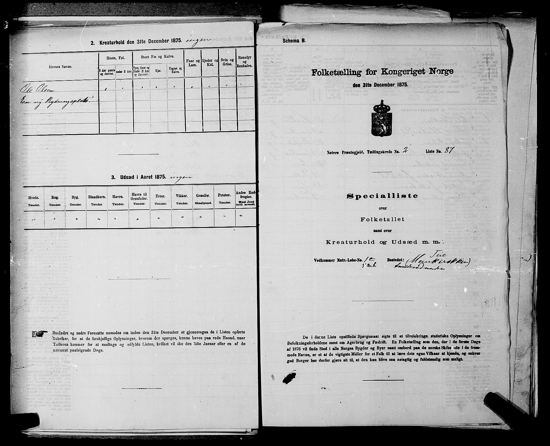 SAKO, 1875 census for 0722P Nøtterøy, 1875, p. 513