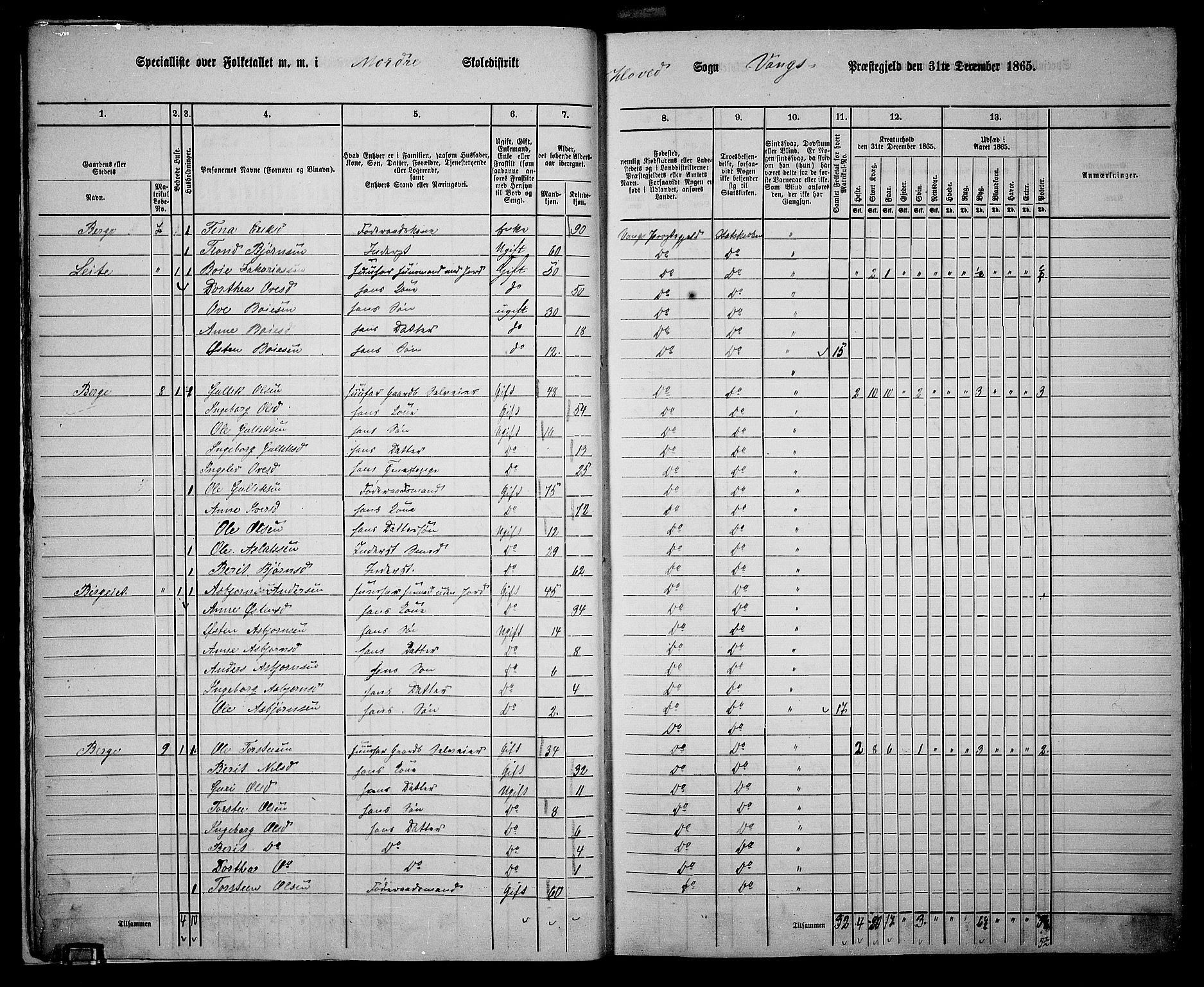 RA, 1865 census for Vang, 1865, p. 13