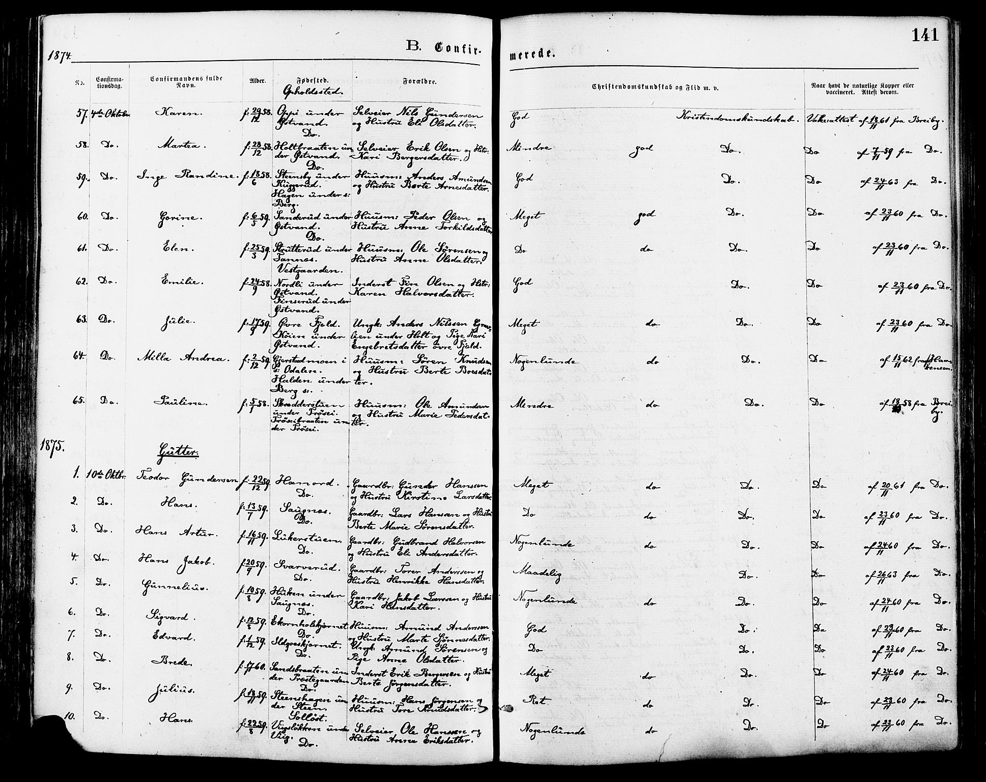 Nord-Odal prestekontor, AV/SAH-PREST-032/H/Ha/Haa/L0005: Parish register (official) no. 5, 1874-1885, p. 141