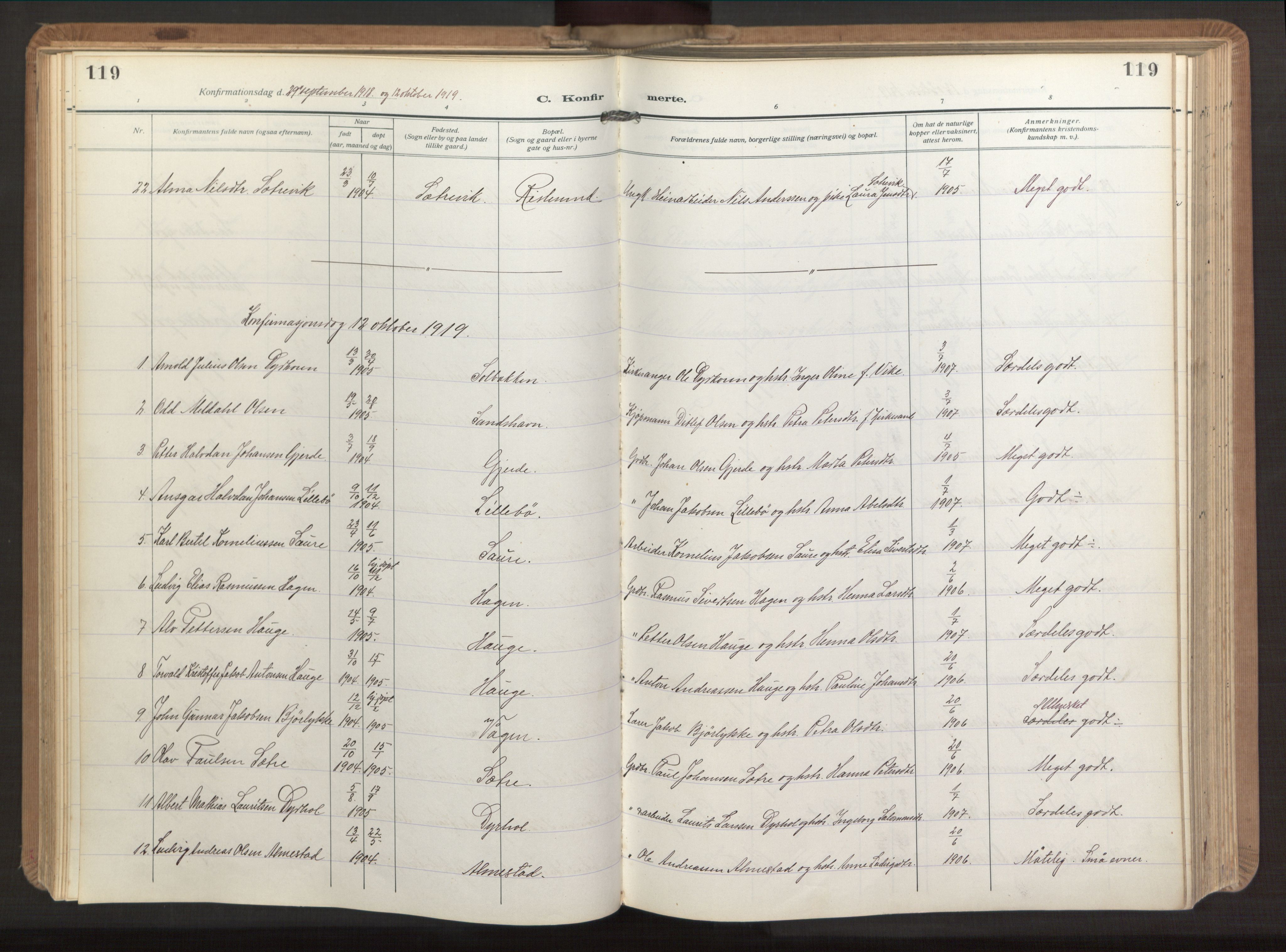 Ministerialprotokoller, klokkerbøker og fødselsregistre - Møre og Romsdal, AV/SAT-A-1454/503/L0044: Parish register (official) no. 503A12, 1918-1931, p. 119