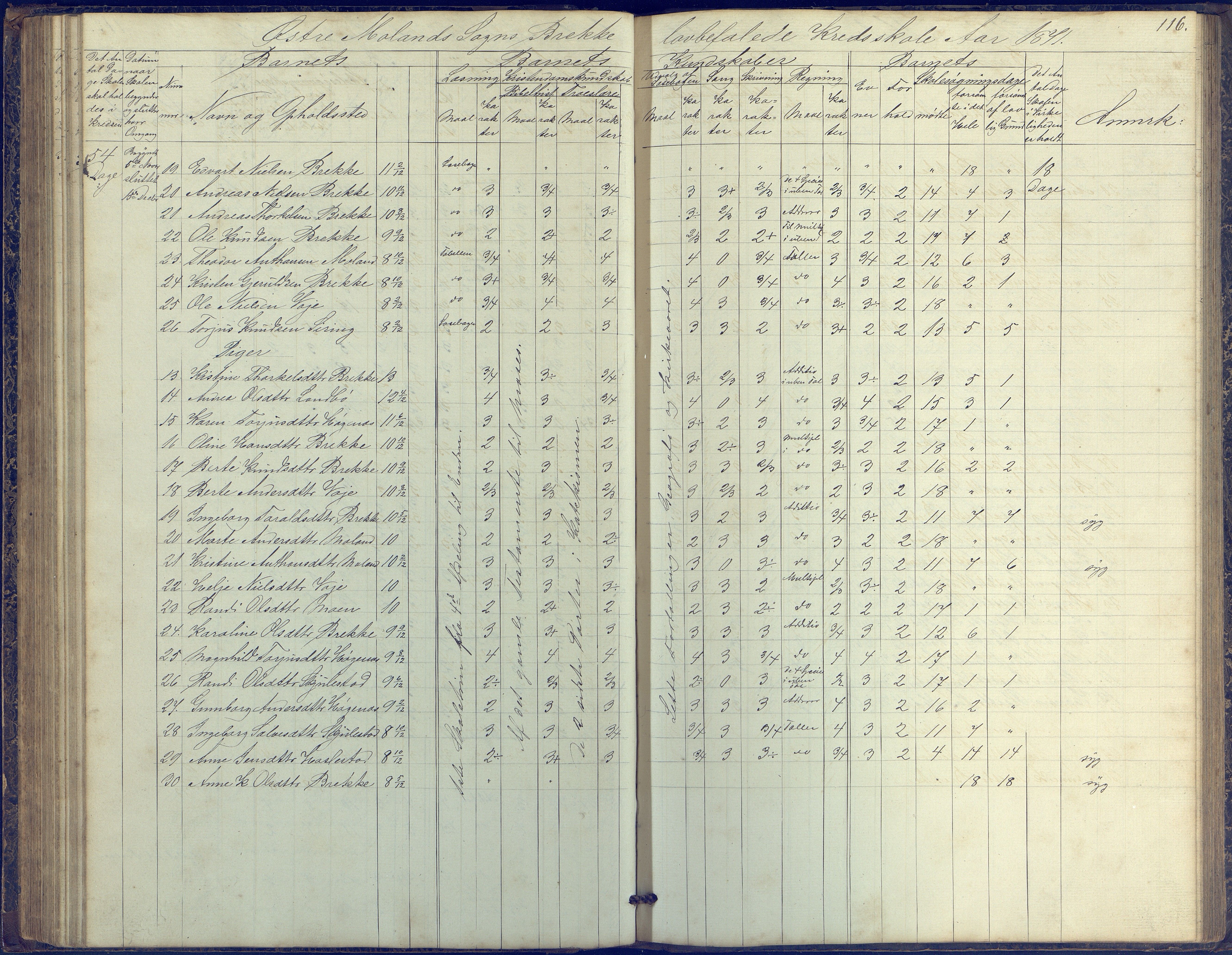 Austre Moland kommune, AAKS/KA0918-PK/09/09b/L0002: Skoleprotokoll, 1852-1878, p. 116