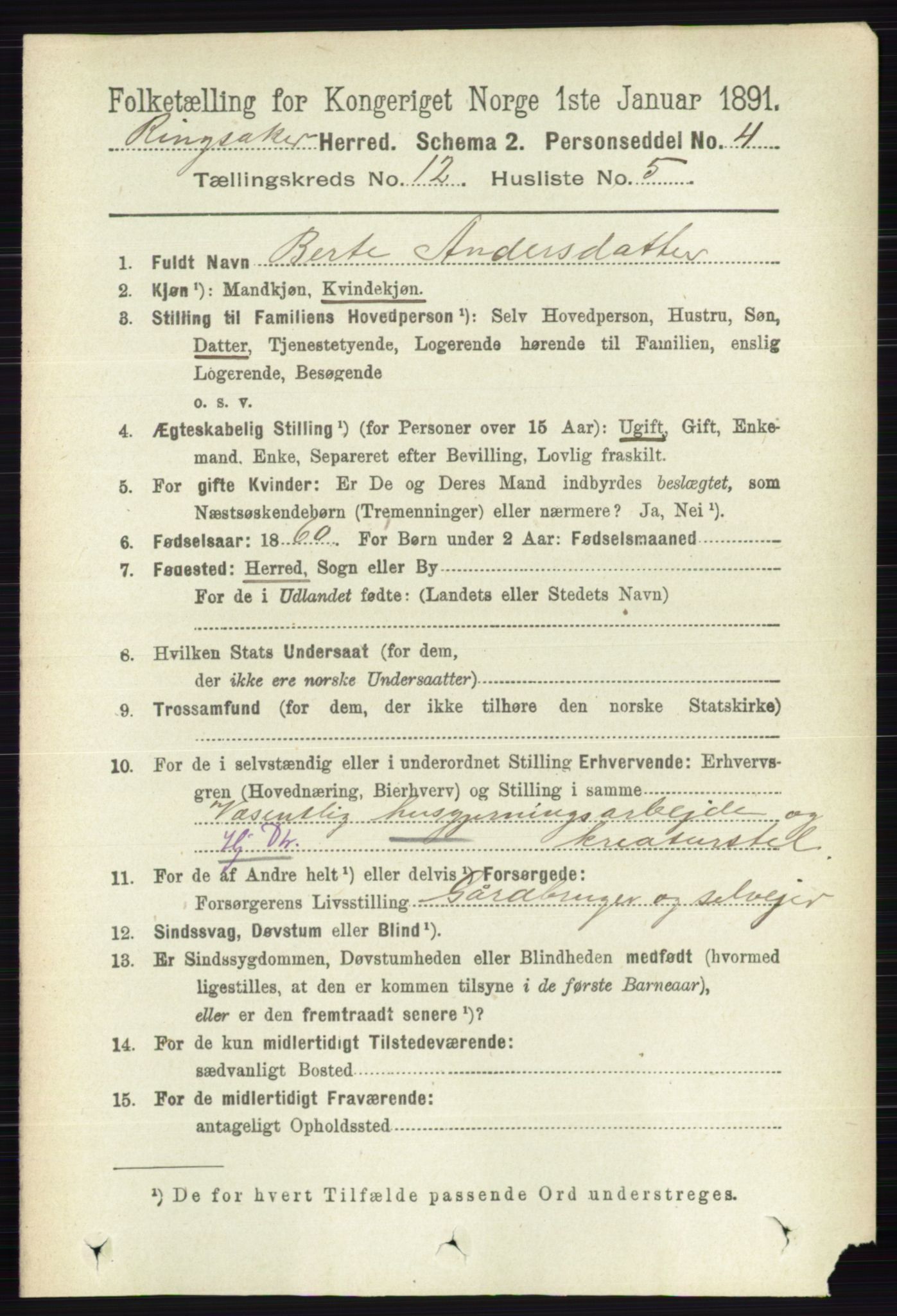 RA, 1891 census for 0412 Ringsaker, 1891, p. 6790