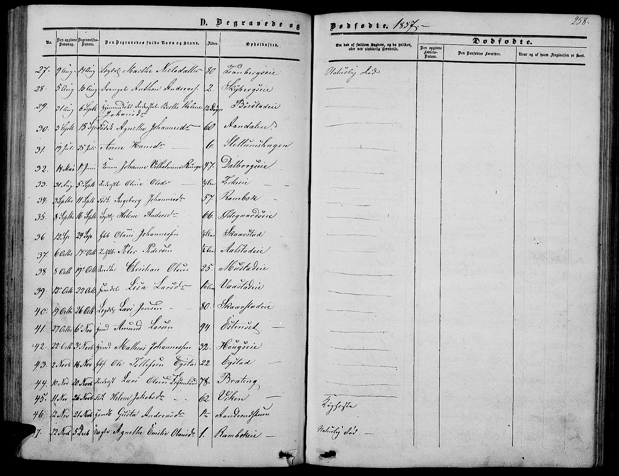 Vardal prestekontor, SAH/PREST-100/H/Ha/Hab/L0005: Parish register (copy) no. 5, 1854-1868, p. 258