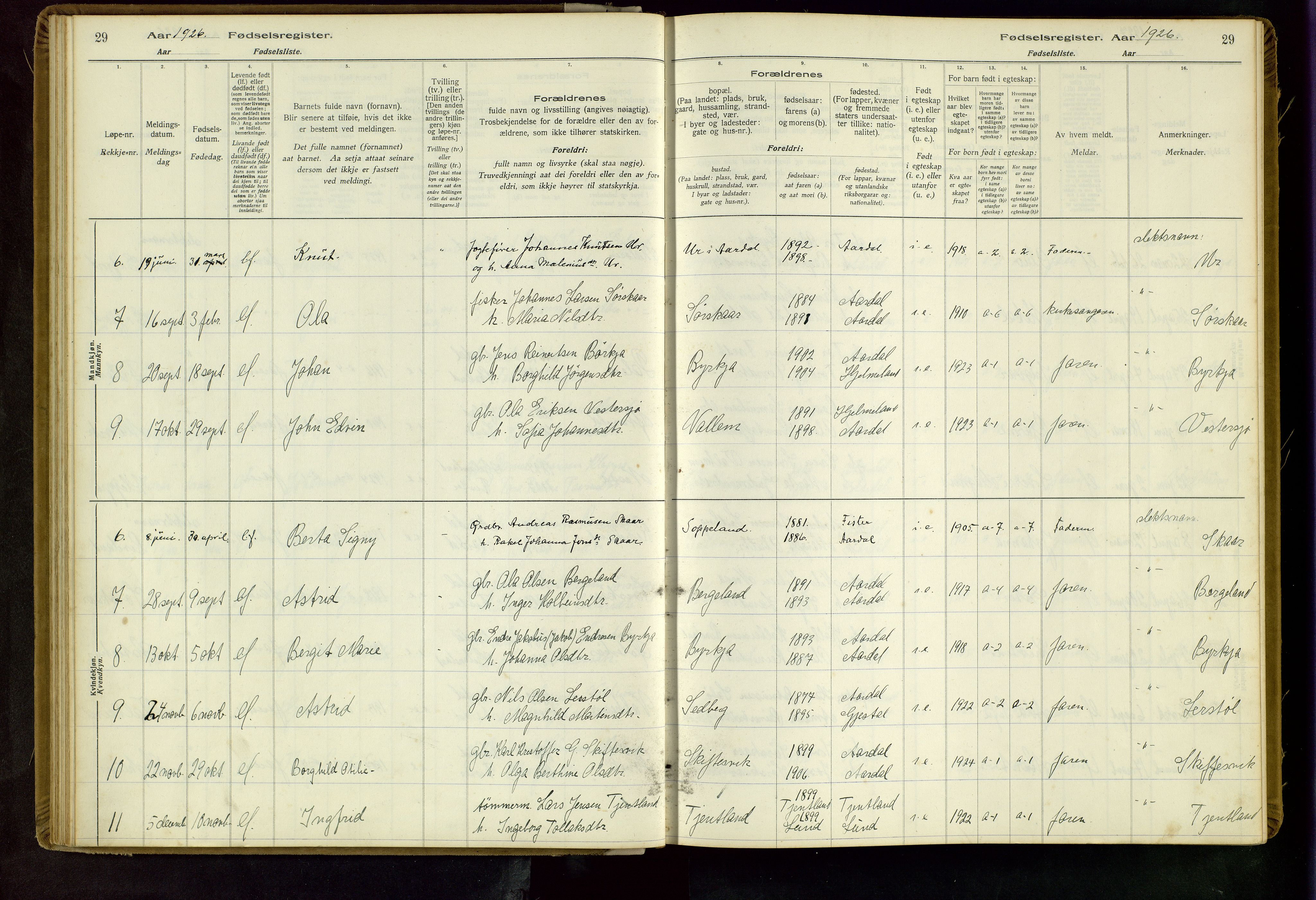 Hjelmeland sokneprestkontor, AV/SAST-A-101843/02/B/L0004: Birth register no. 4, 1997-1997, p. 29