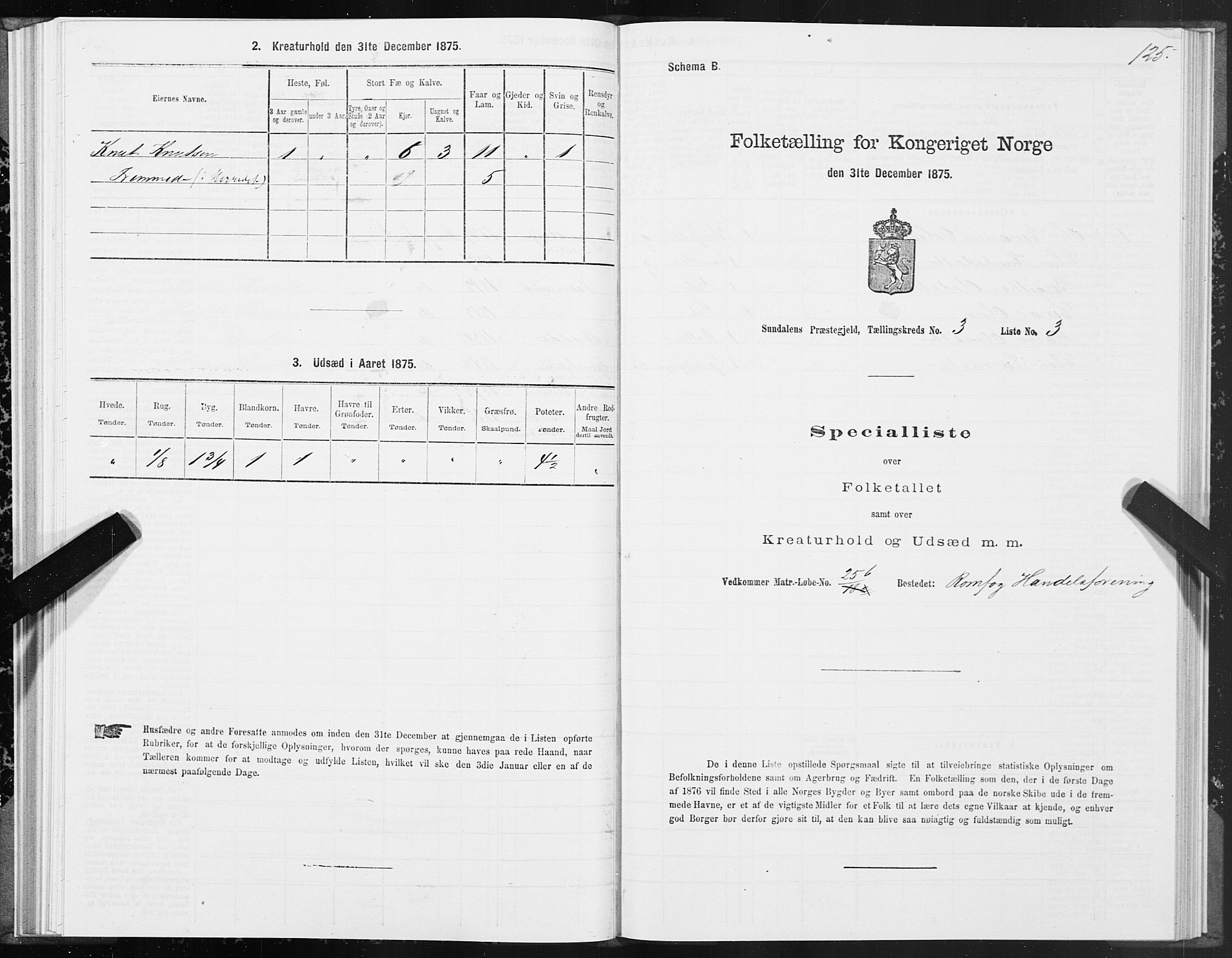 SAT, 1875 census for 1563P Sunndal, 1875, p. 1125