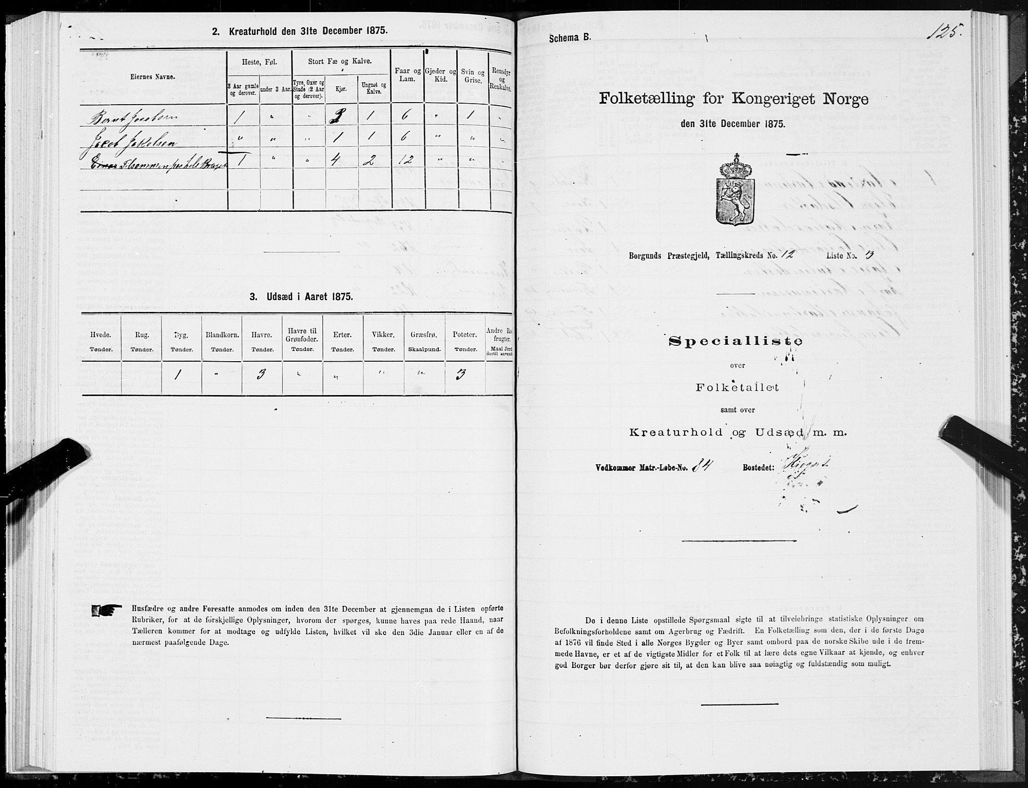 SAT, 1875 census for 1531P Borgund, 1875, p. 6125