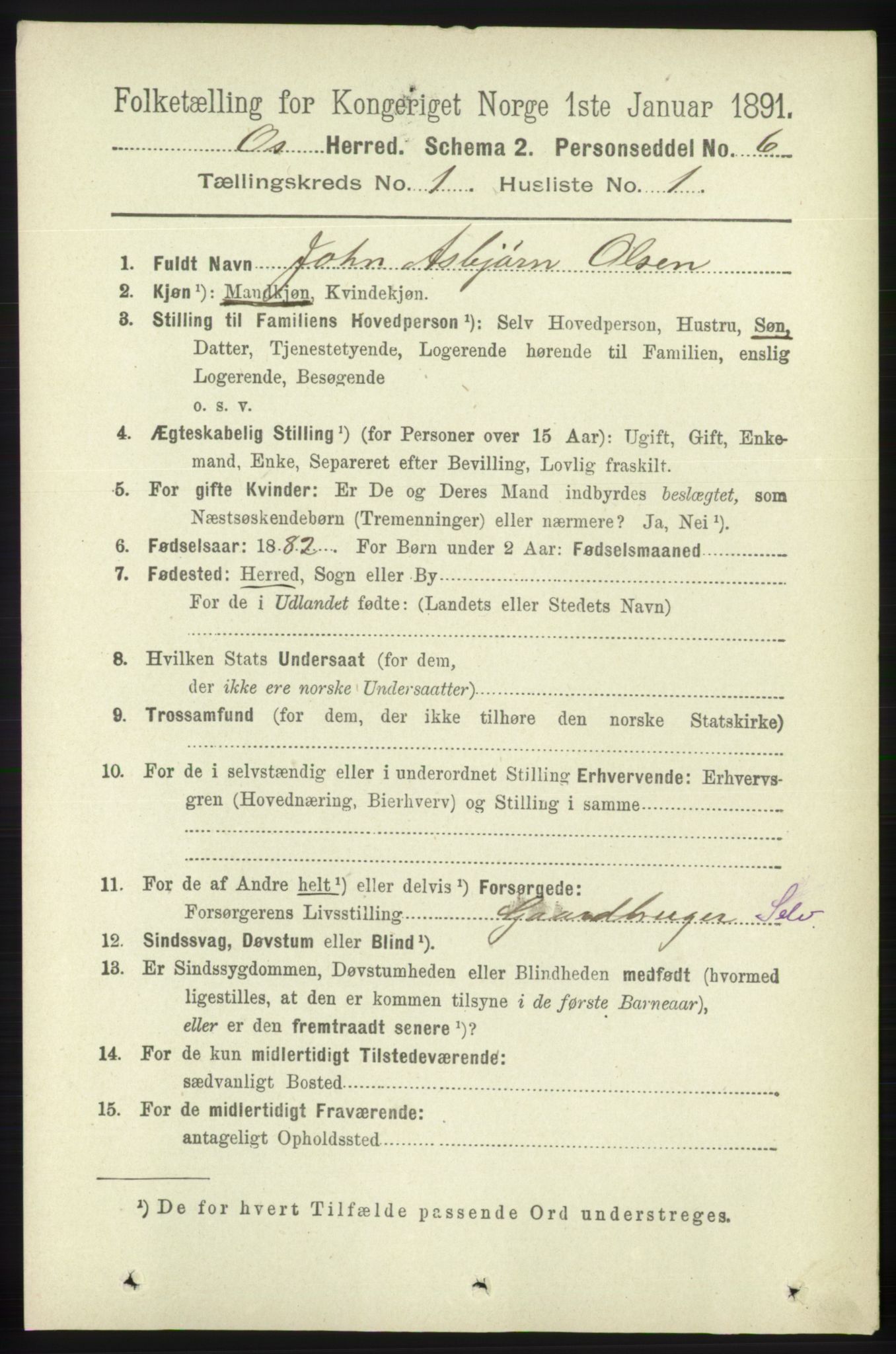 RA, 1891 census for 1243 Os, 1891, p. 90