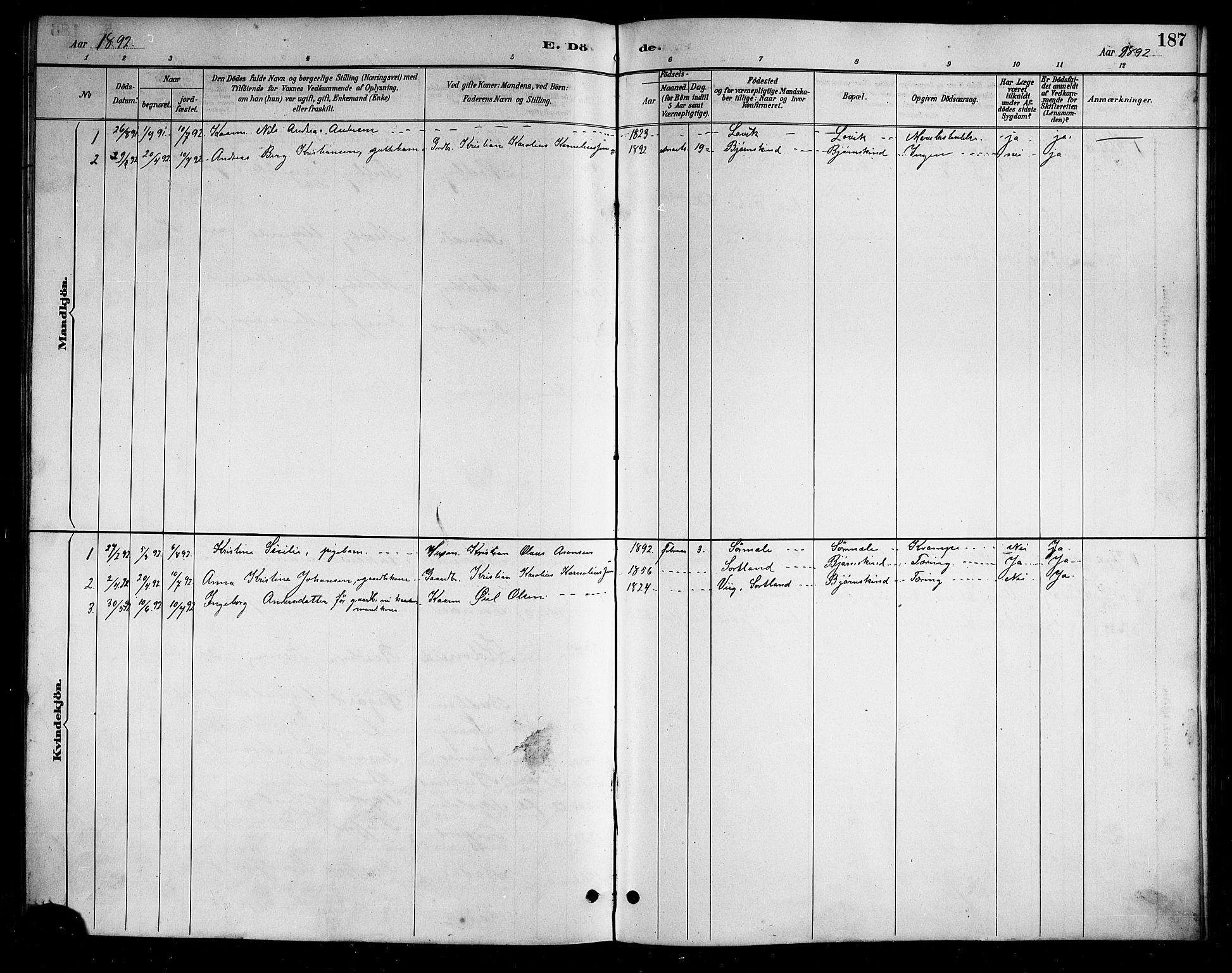 Ministerialprotokoller, klokkerbøker og fødselsregistre - Nordland, AV/SAT-A-1459/898/L1427: Parish register (copy) no. 898C02, 1887-1917, p. 187