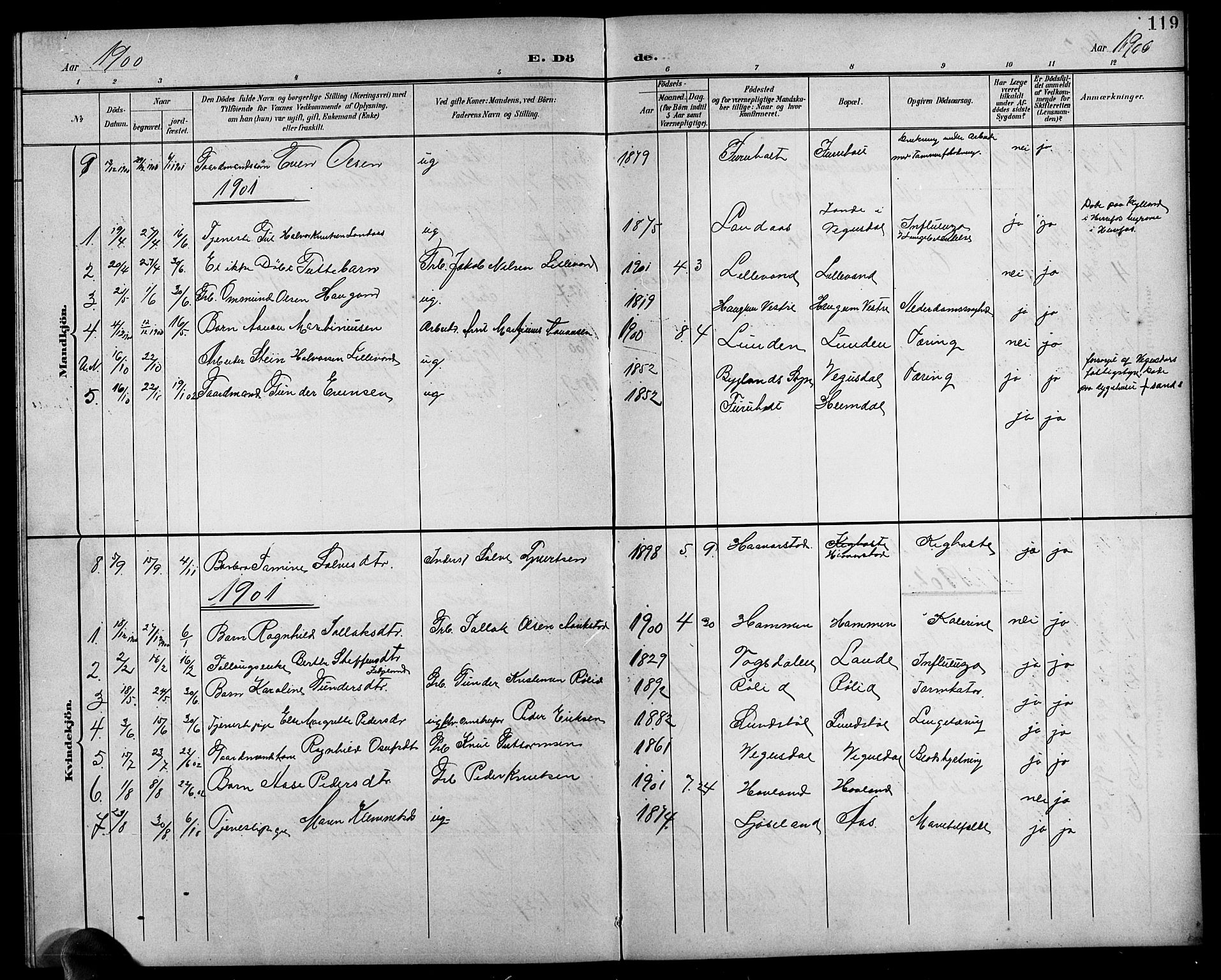 Herefoss sokneprestkontor, AV/SAK-1111-0019/F/Fb/Fbb/L0003: Parish register (copy) no. B 3, 1892-1917, p. 119