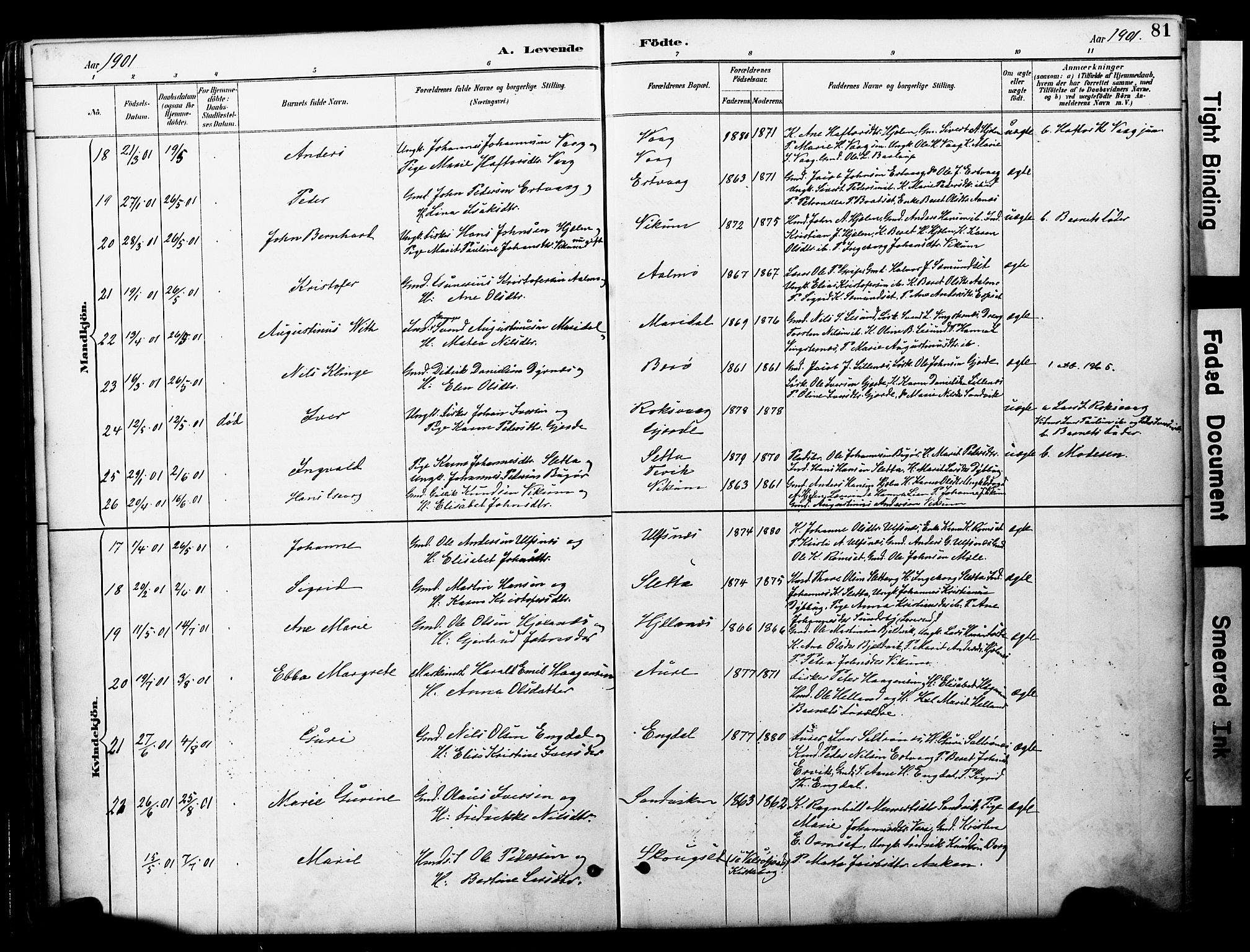 Ministerialprotokoller, klokkerbøker og fødselsregistre - Møre og Romsdal, AV/SAT-A-1454/578/L0907: Parish register (official) no. 578A06, 1887-1904, p. 81
