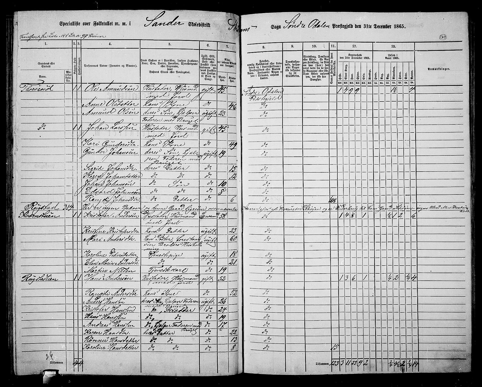 RA, 1865 census for Sør-Odal, 1865, p. 159