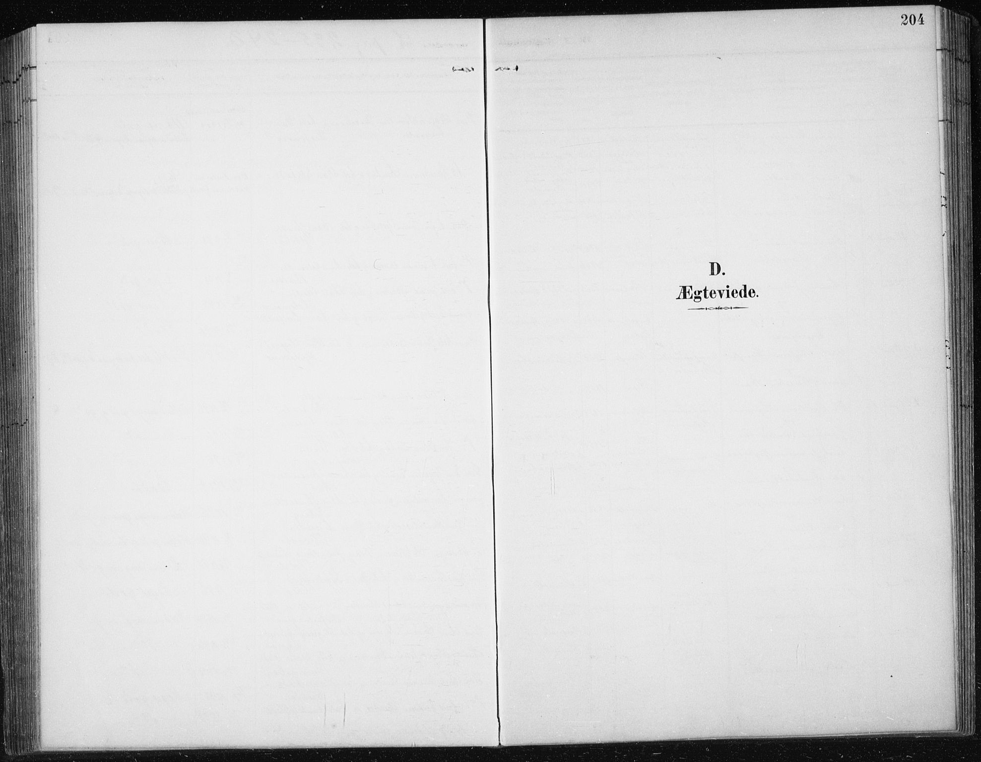 Ministerialprotokoller, klokkerbøker og fødselsregistre - Sør-Trøndelag, SAT/A-1456/674/L0876: Parish register (copy) no. 674C03, 1892-1912, p. 204