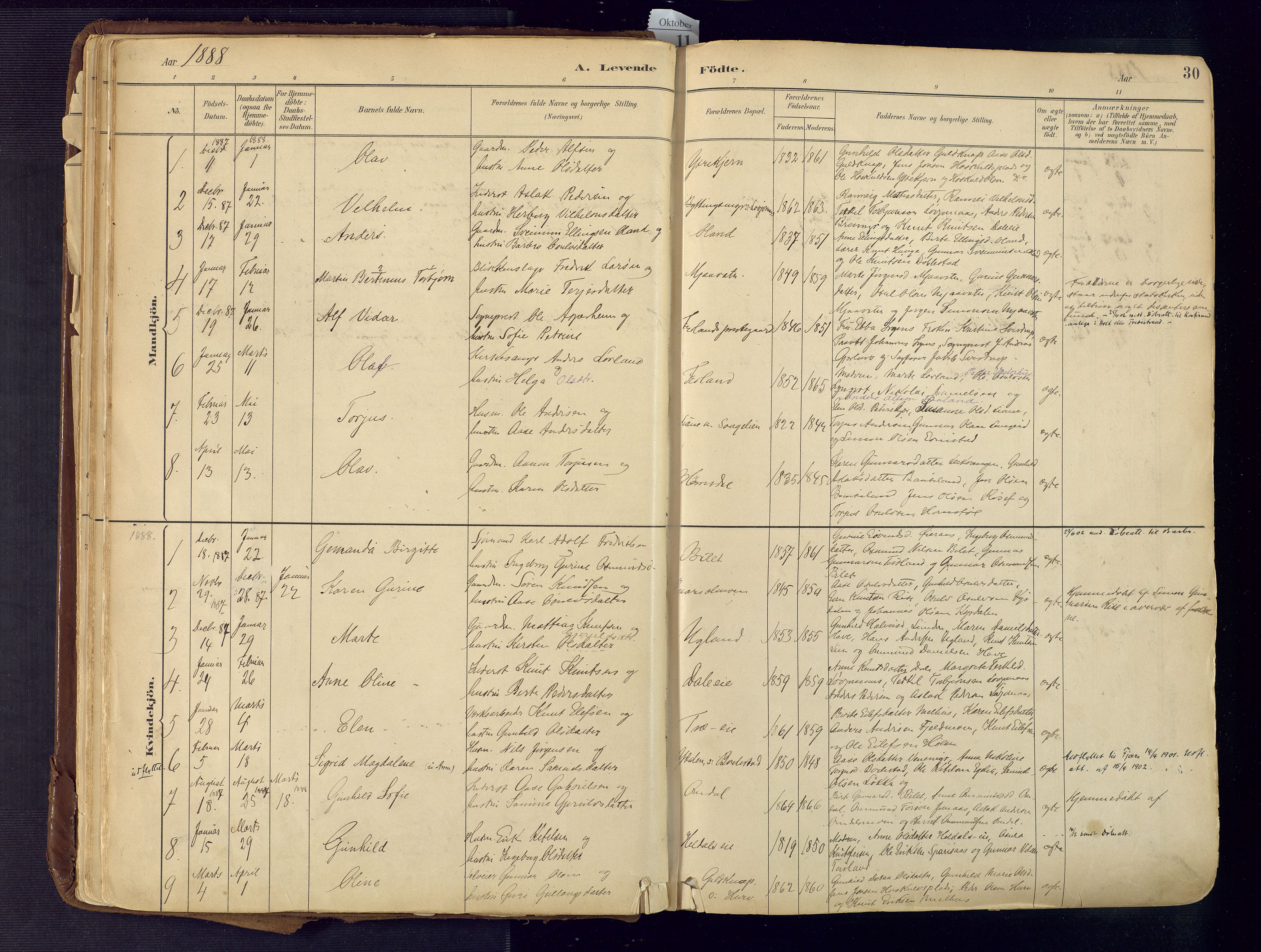 Froland sokneprestkontor, SAK/1111-0013/F/Fa/L0005: Parish register (official) no. A 5, 1882-1921, p. 30